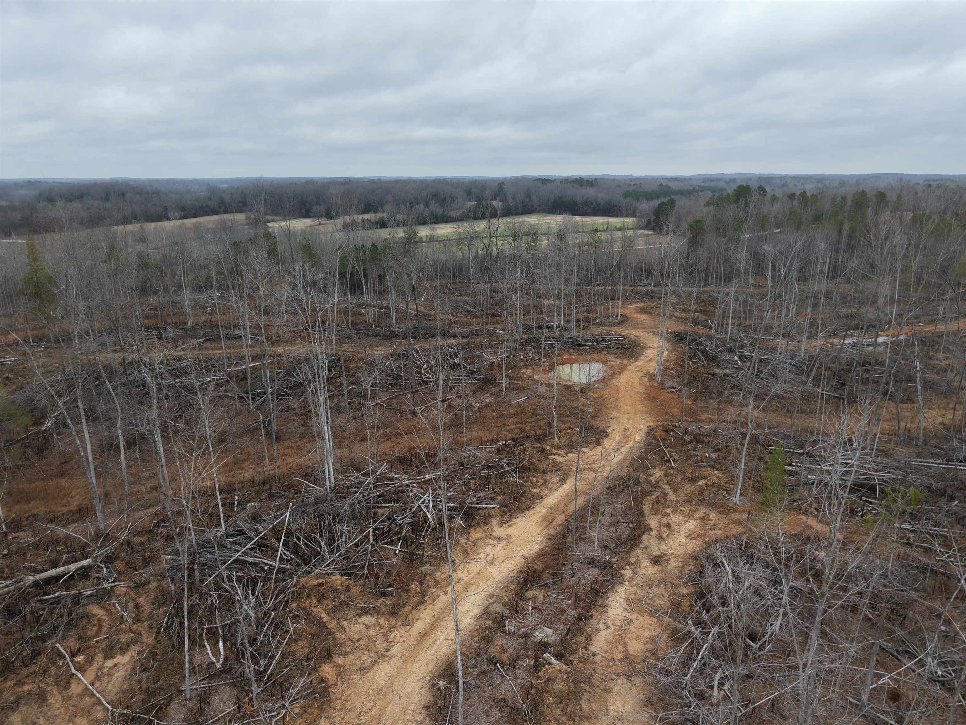 0 Spring Hill Cemetery Road Sardis, TN 38371 - Photo 7 of 23 a view of a pathway both side of residential building