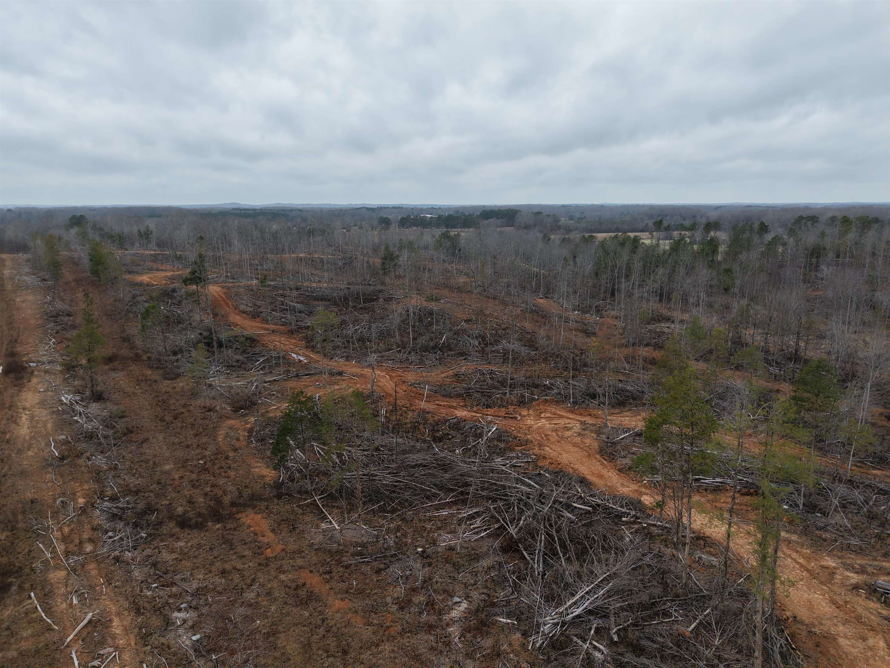 0 Spring Hill Cemetery Road Sardis, TN 38371 - Photo 8 of 23 a view of a yard