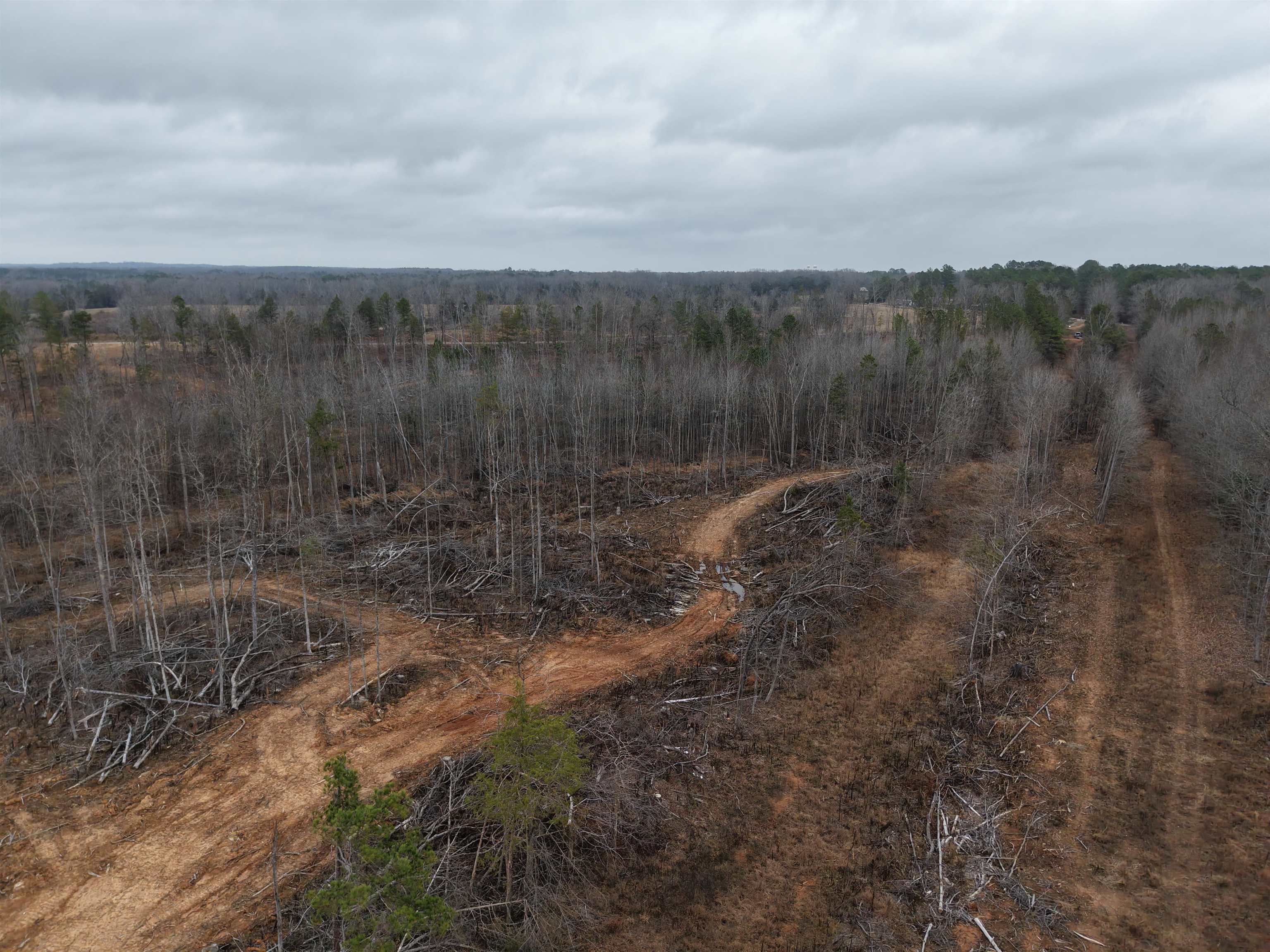 0 Spring Hill Cemetery Road Sardis, TN 38371 - Photo 9 of 23 a view of a yard with wooden fence