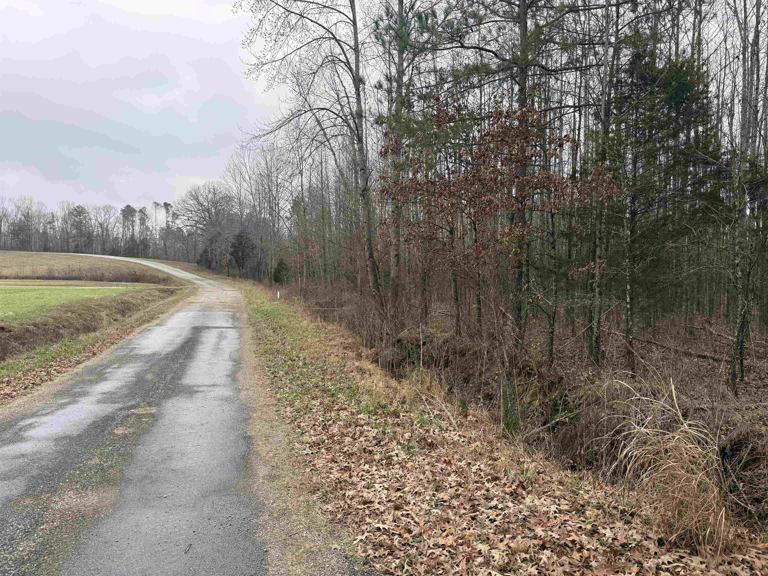 0 Spring Hill Cemetery Road Sardis, TN 38371 - Photo 9 of 23 a view of a yard with trees
