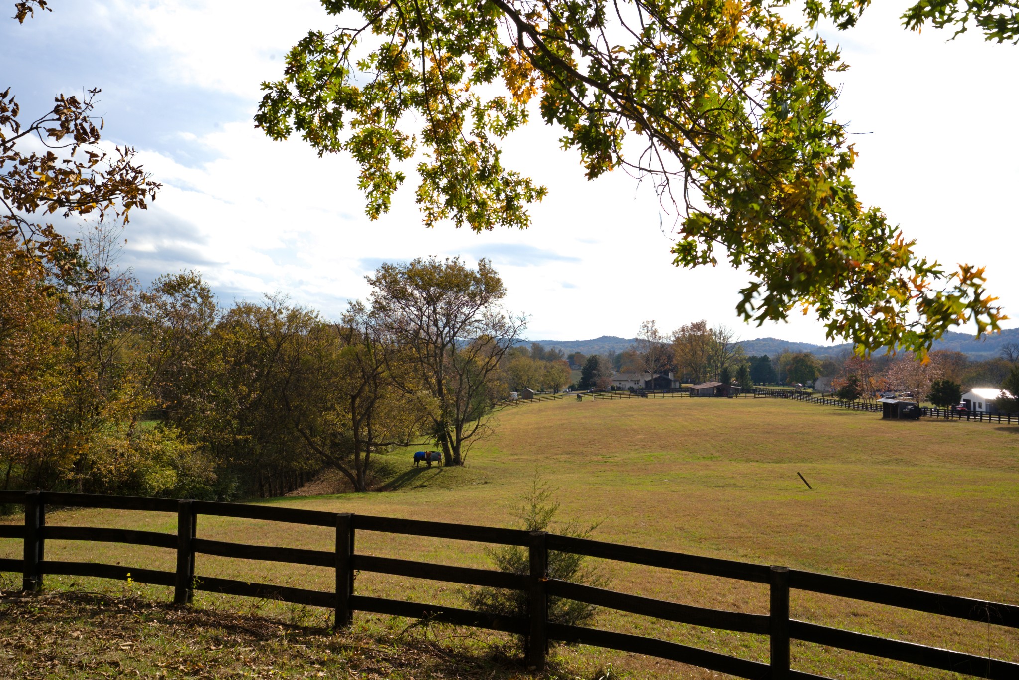1496 Coleman Road Franklin, TN 37064 - Photo 2 of 82