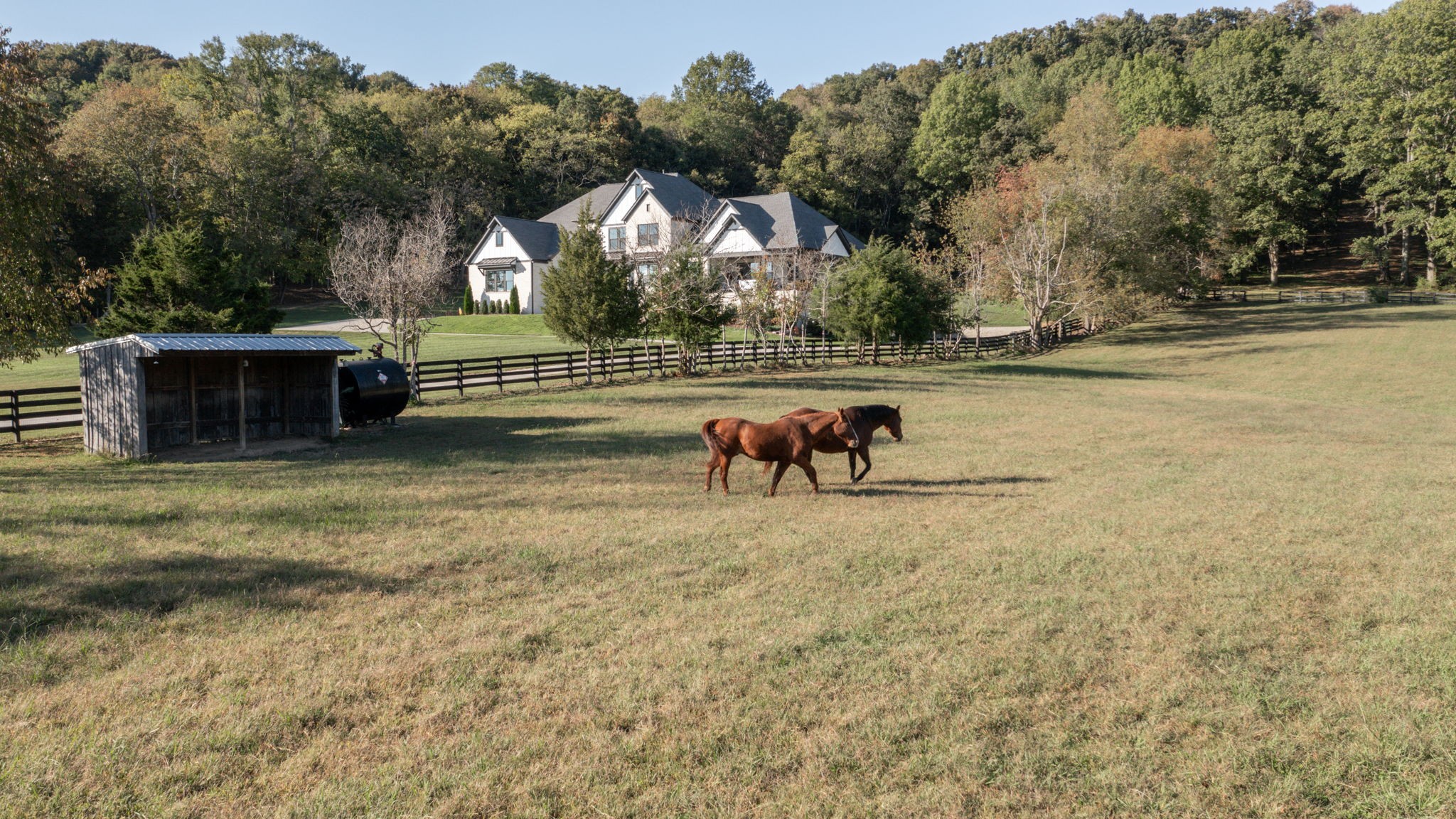 1496 Coleman Road Franklin, TN 37064 - Photo 67 of 82 a view of a house with backyard and a tree
