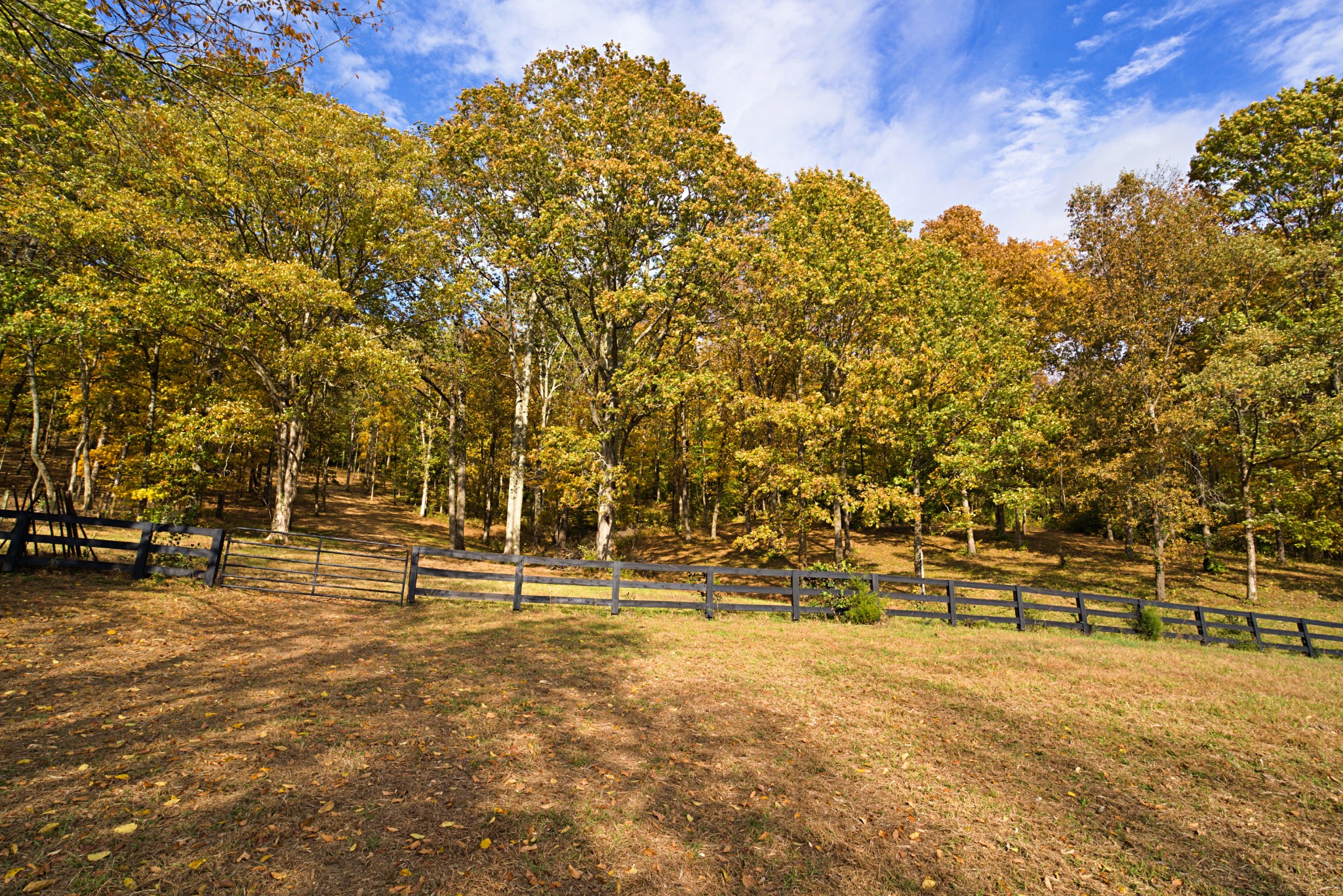 1496 Coleman Road Franklin, TN 37064 - Photo 80 of 82 a view of outdoor space with garden