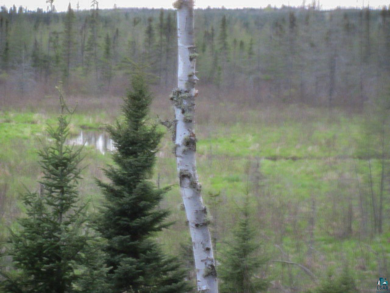 Tbd Tbd Dunka River Road Isabella, MN 55607 - Photo 14 of 17 Gallery Image 14