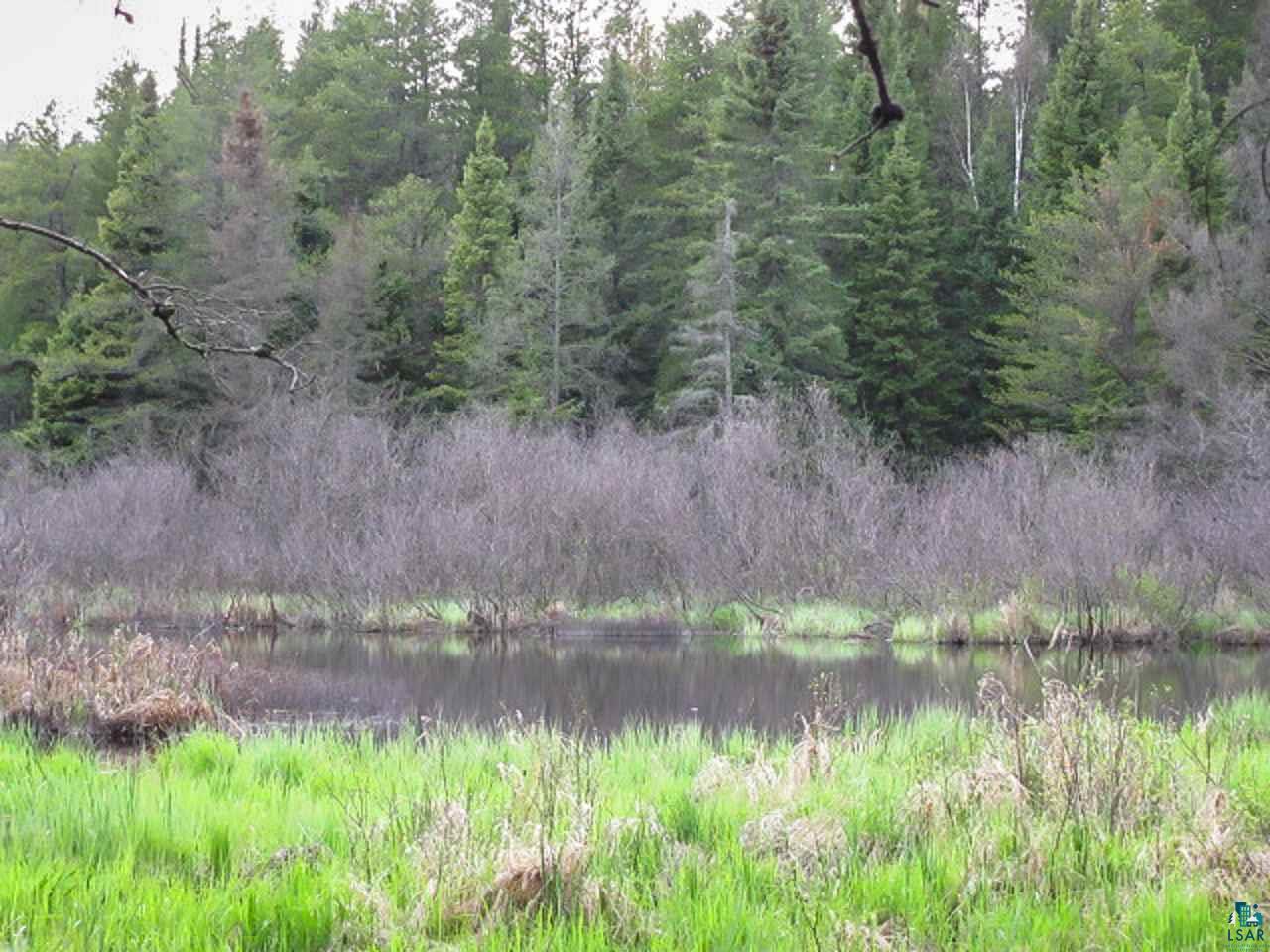 Tbd Tbd Dunka River Road Isabella, MN 55607 - Photo 16 of 17 Gallery Image 16