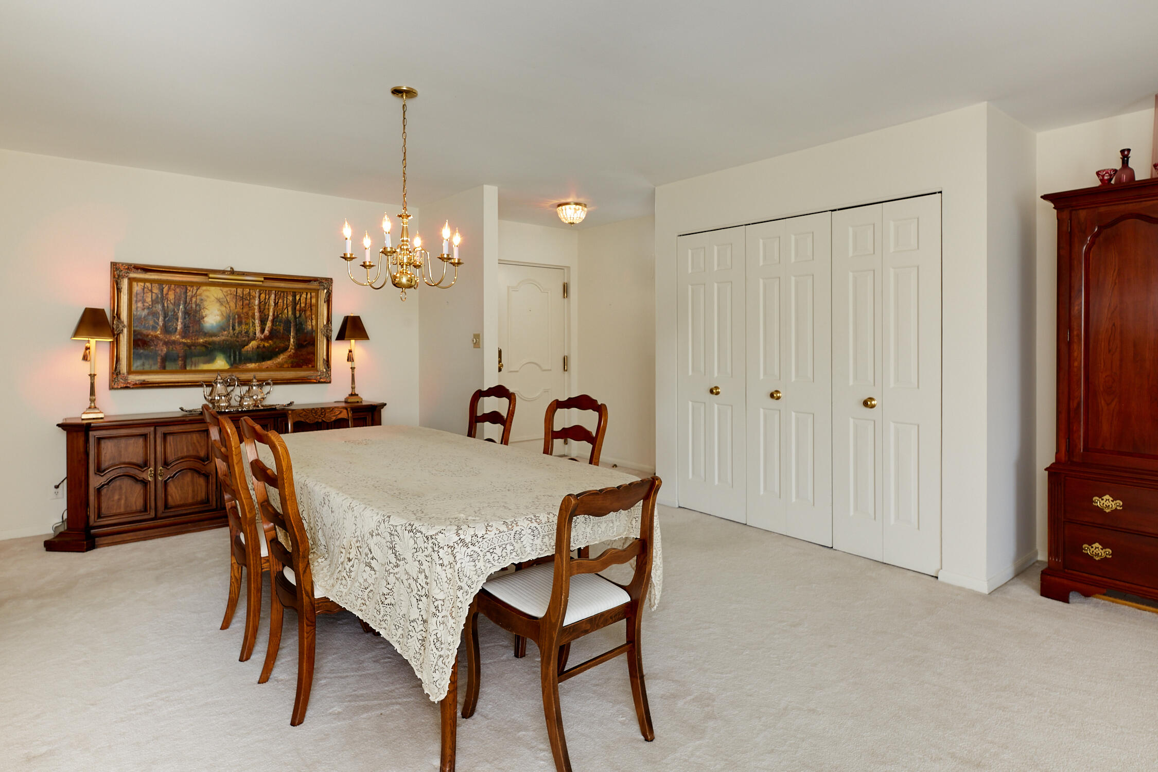13335 Watertown Plank Road, Unit 303 Elm Grove, WI 53122 - Photo 9 of 27 Large Front Closet