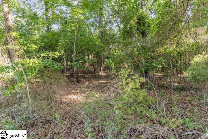 228 Hickory Ridge Road Townville, SC 29689 - Photo 2 of 12