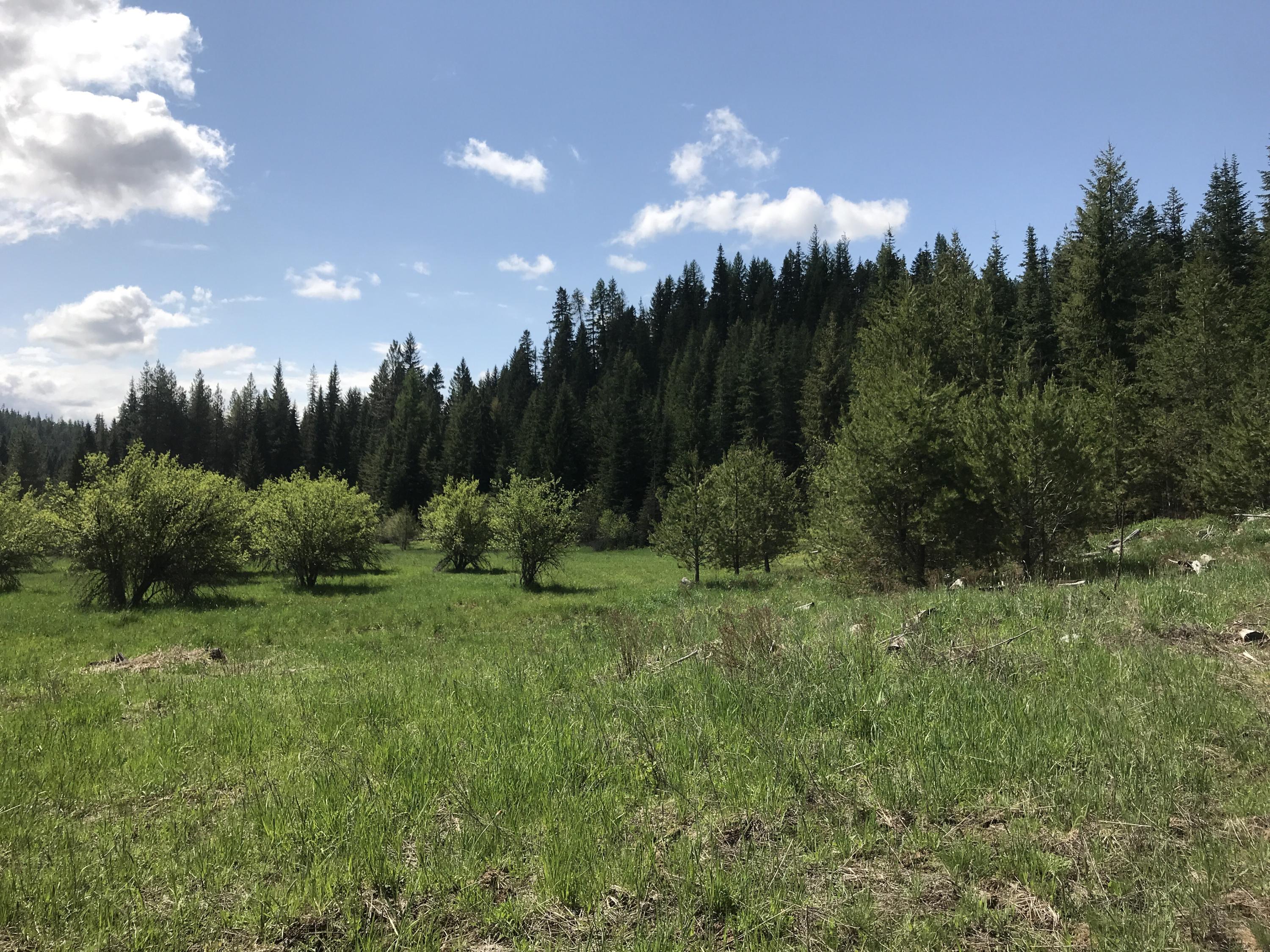Nka Alder Creek Loop Road St. Maries, ID 83861 - Photo 1 of 1 Alder Creek