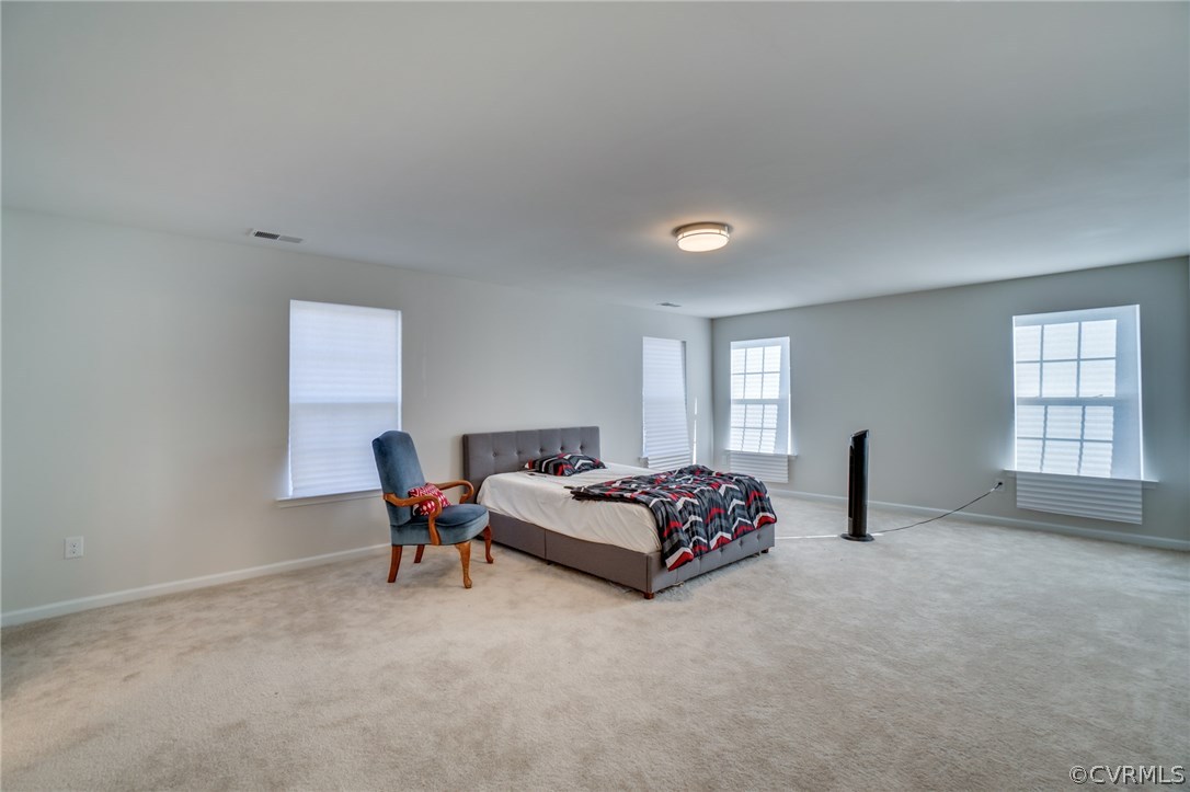 8919 Bailey Hill Road Midlothian, VA 23112 - Photo 21 of 44 Gallery Image 21