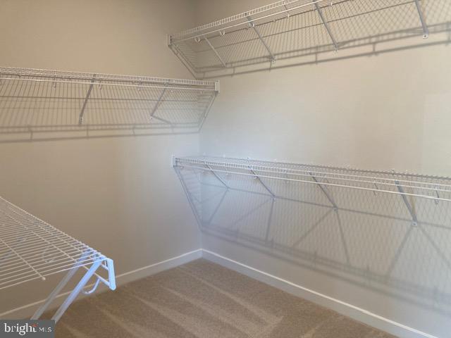 14122 Gypsum Loop Chantilly, VA 20151 - Photo 43 of 56 .