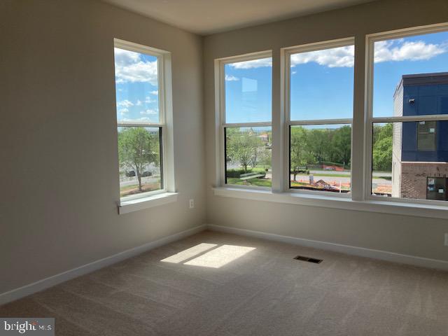 14122 Gypsum Loop Chantilly, VA 20151 - Photo 47 of 56 .