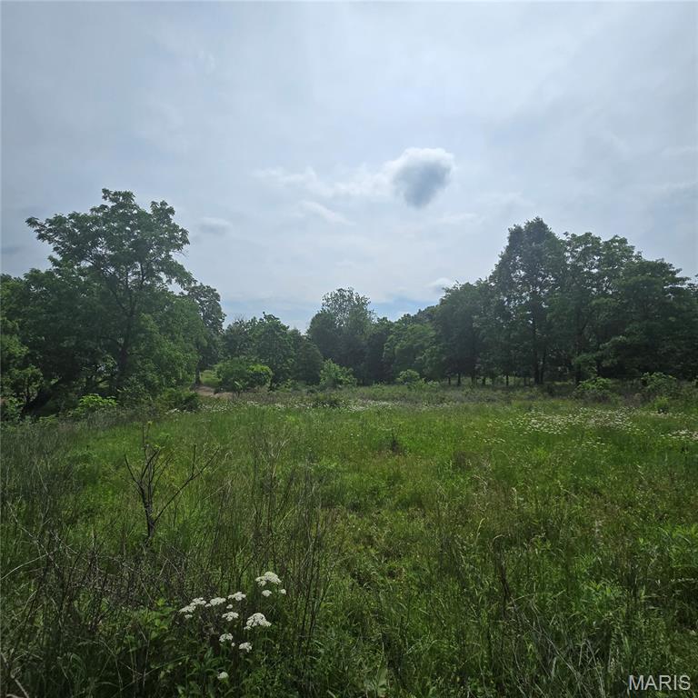 14809 East Knox Road Mount Vernon, IL 62864 - Photo 24 of 31