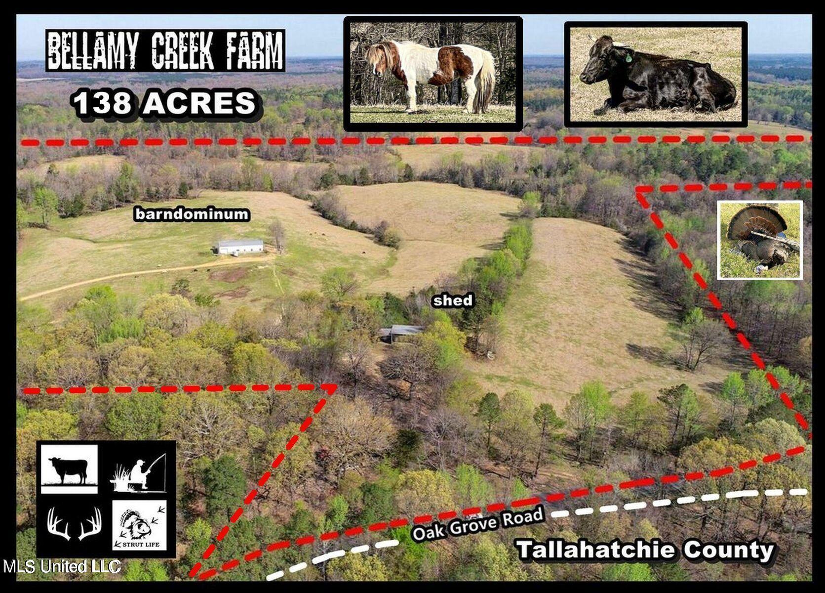 753 Oak Grove Road Charleston, MS 38921 - Photo 1 of 98 138 oak