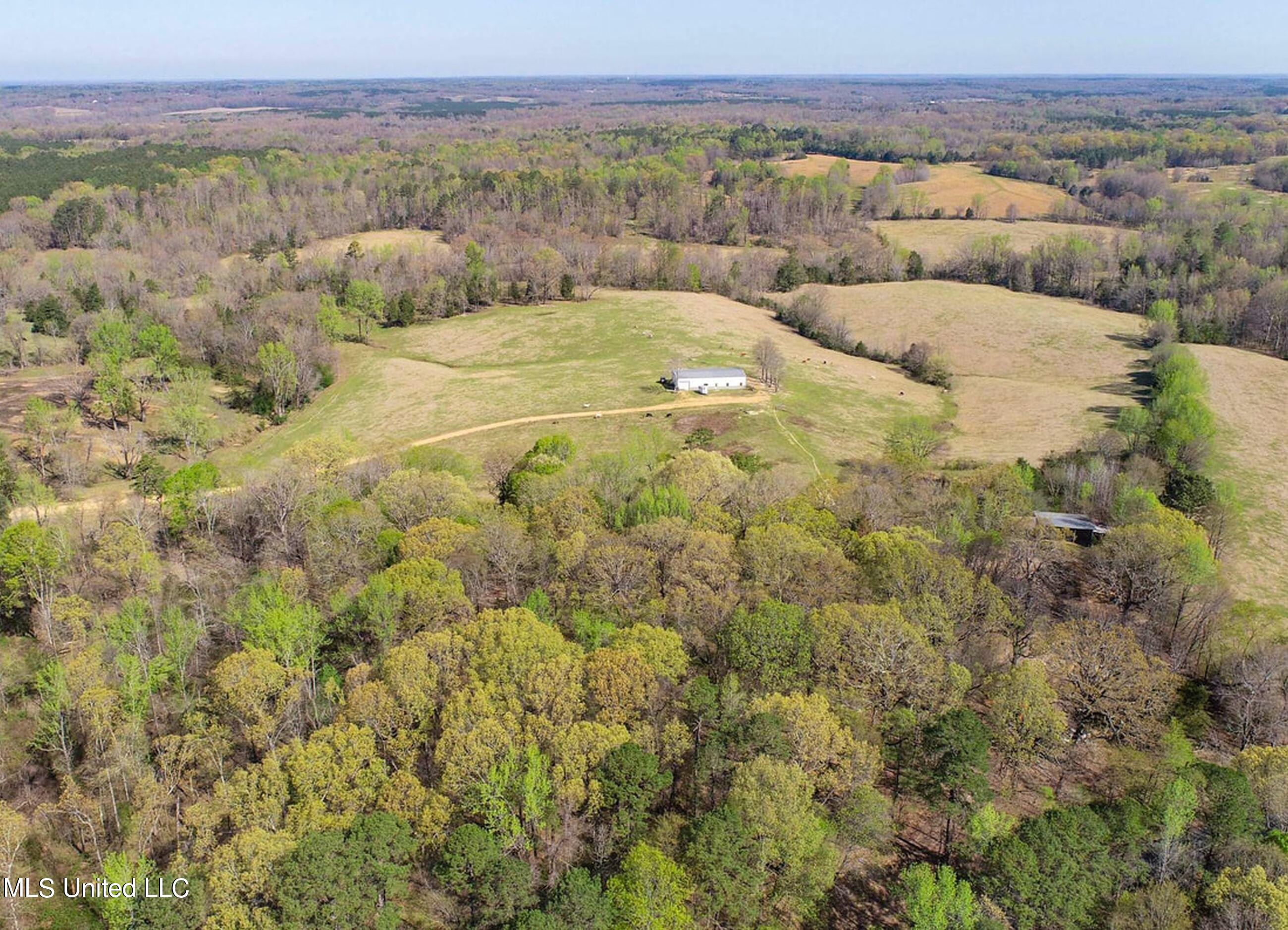 753 Oak Grove Road Charleston, MS 38921 - Photo 12 of 98 9awry16