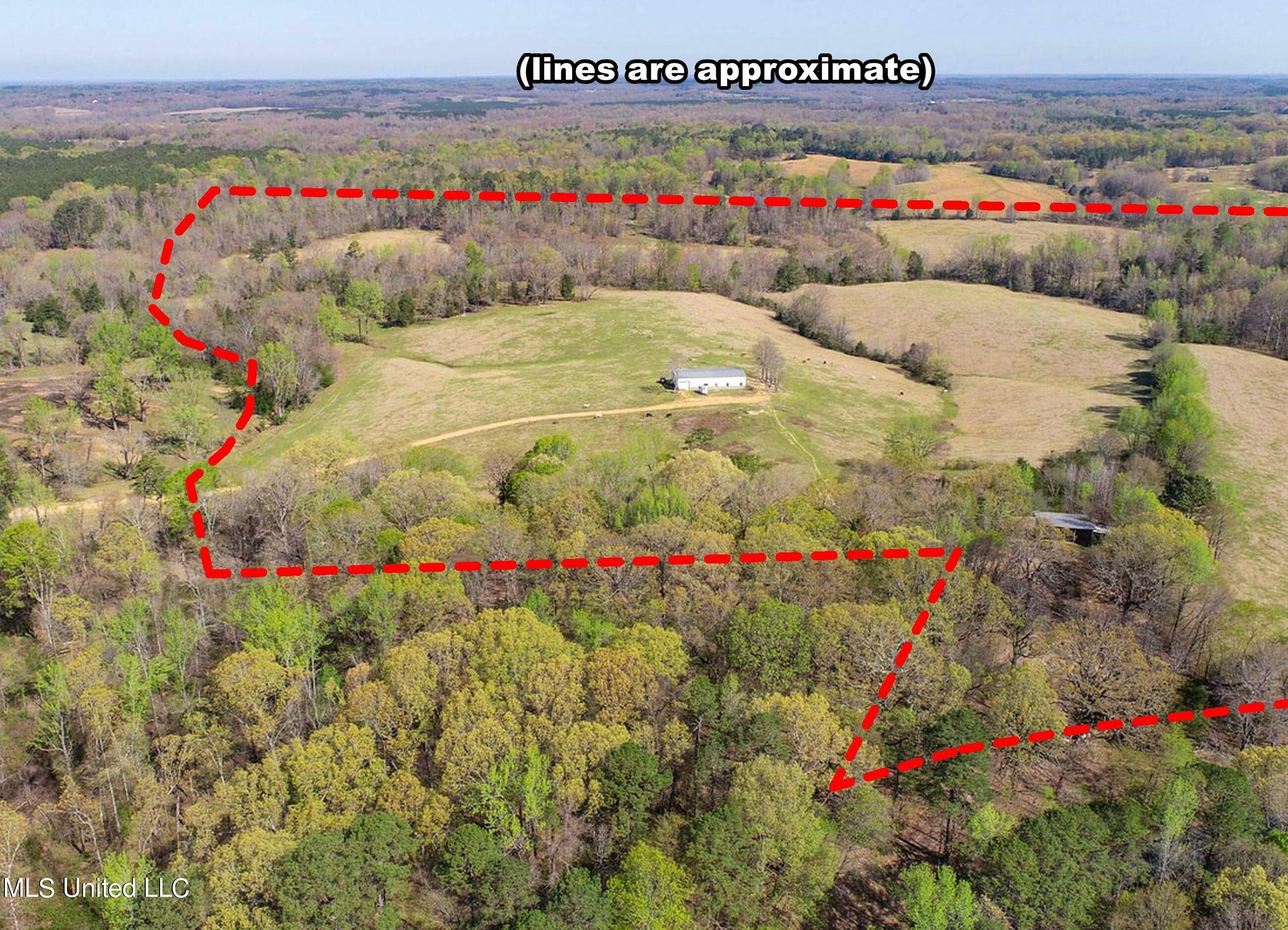 753 Oak Grove Road Charleston, MS 38921 - Photo 13 of 98 9awry16a