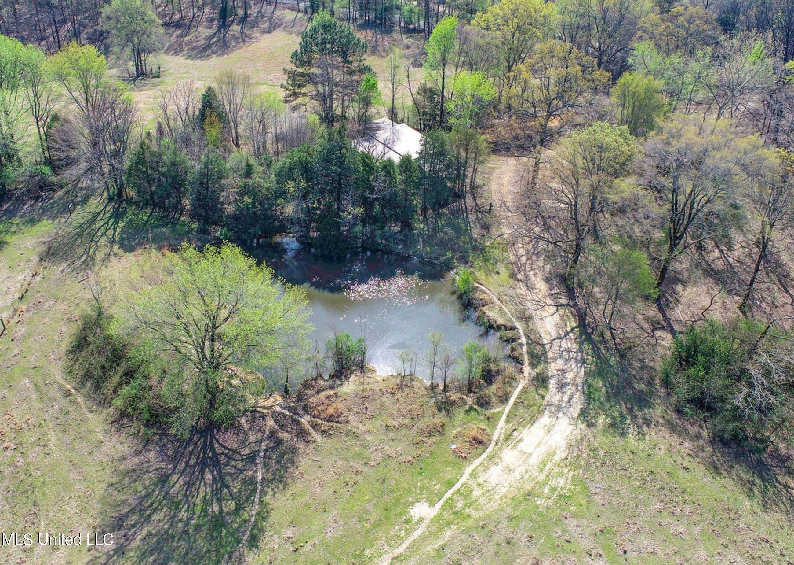 753 Oak Grove Road Charleston, MS 38921 - Photo 14 of 98 9awry17