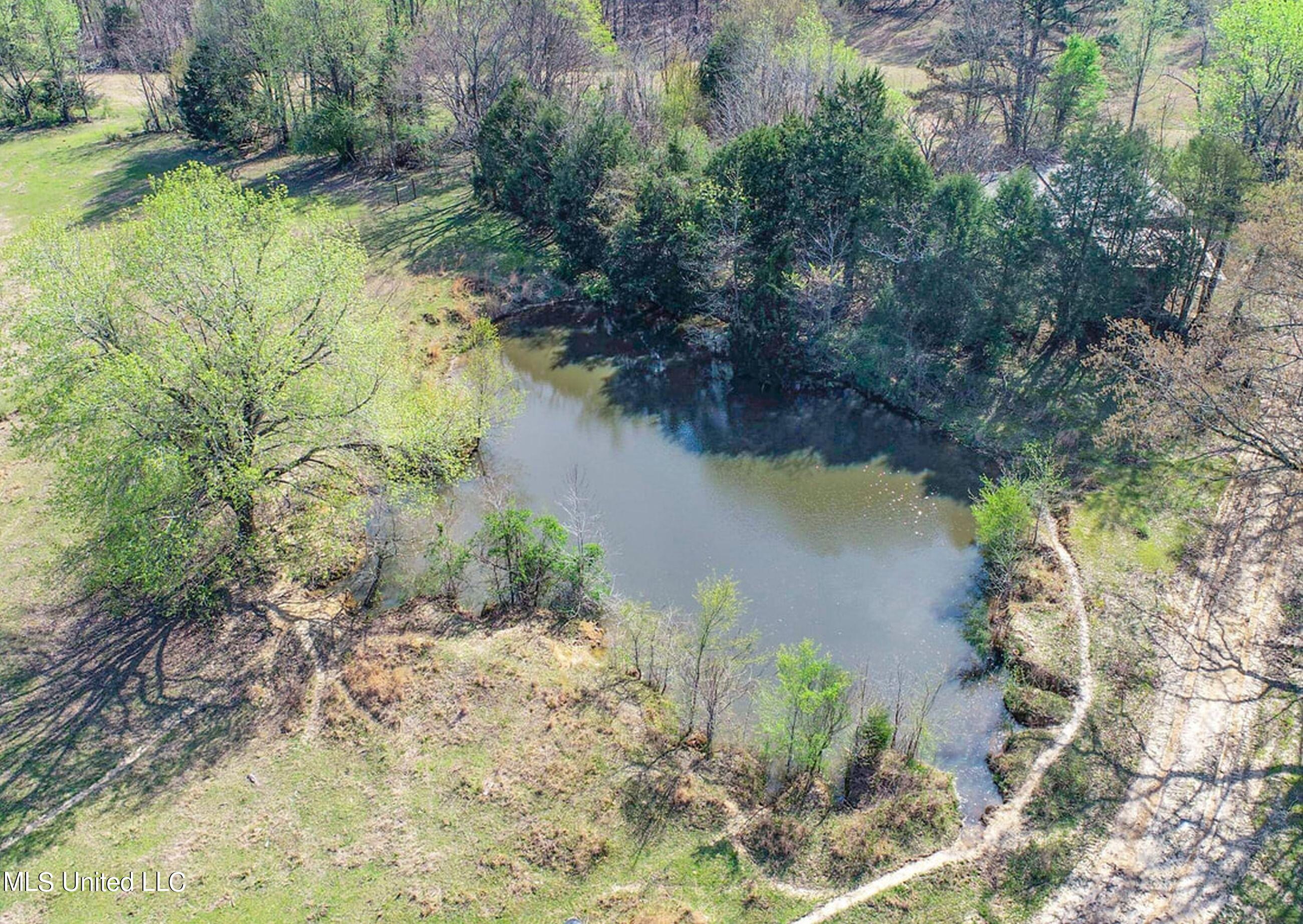 753 Oak Grove Road Charleston, MS 38921 - Photo 15 of 98 9awry18