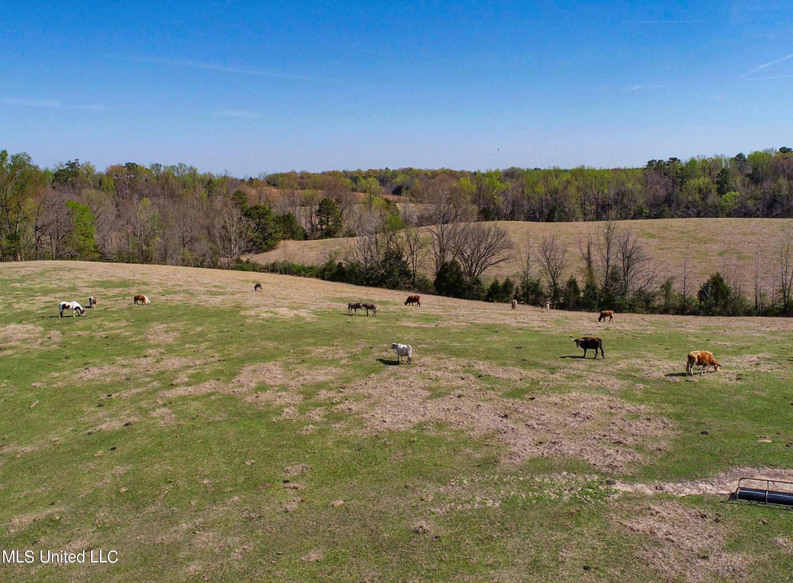 753 Oak Grove Road Charleston, MS 38921 - Photo 16 of 98 9awry19