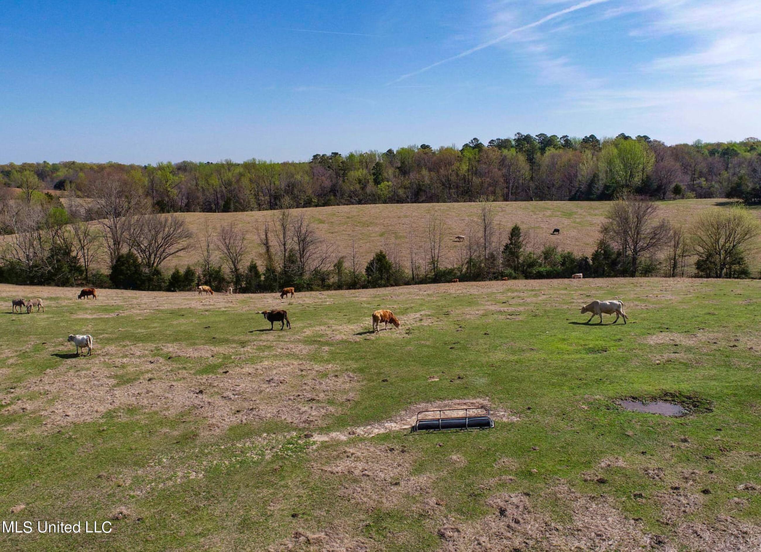 753 Oak Grove Road Charleston, MS 38921 - Photo 17 of 98 9awry20