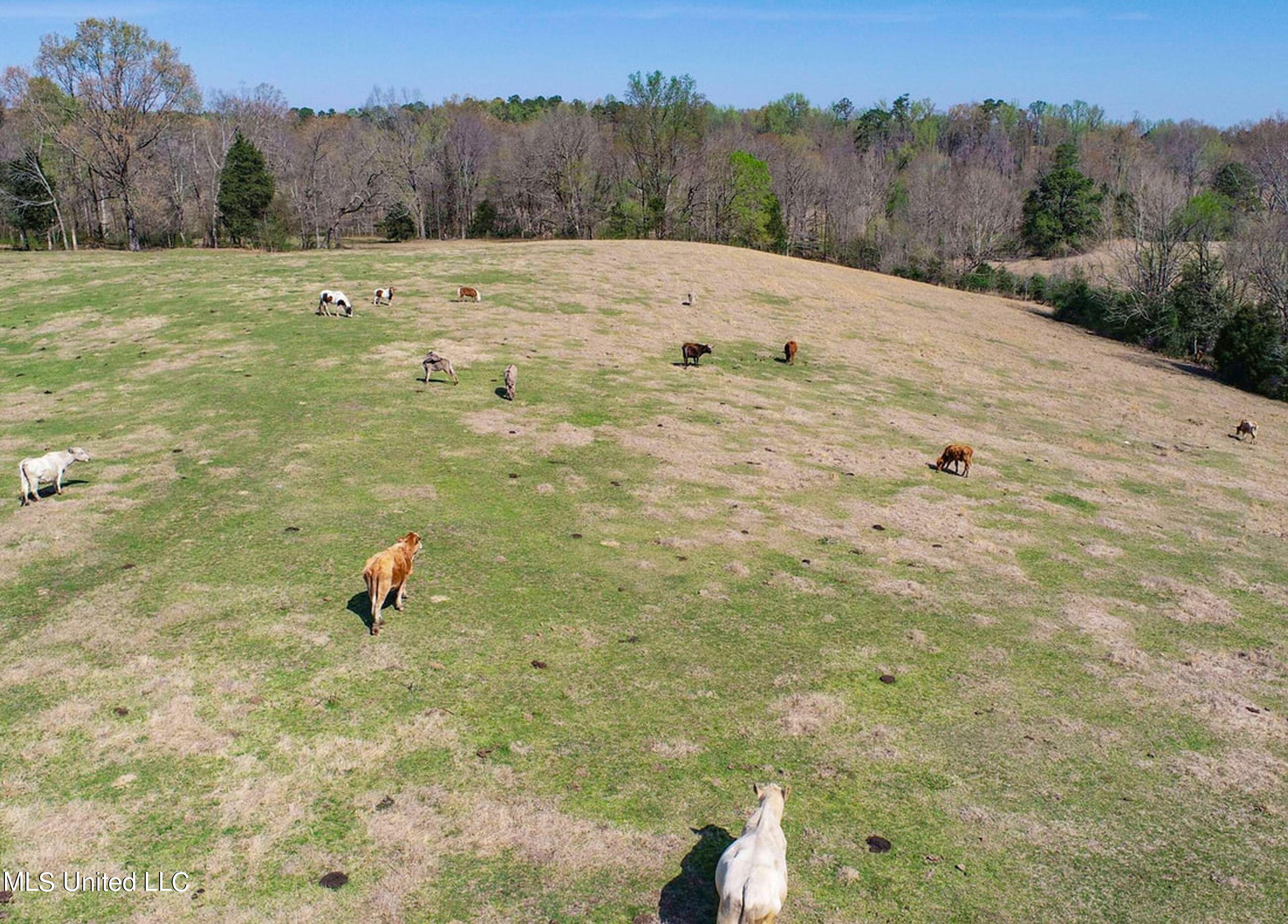 753 Oak Grove Road Charleston, MS 38921 - Photo 18 of 98 9awry21
