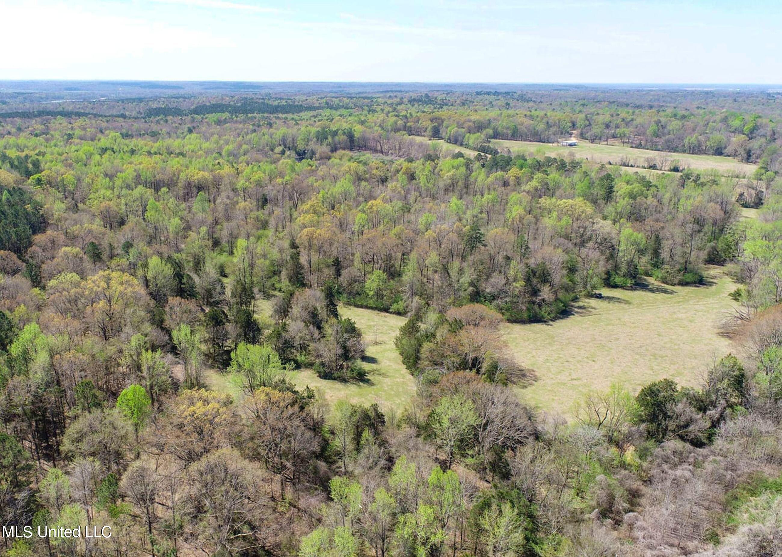 753 Oak Grove Road Charleston, MS 38921 - Photo 21 of 98 9awry24