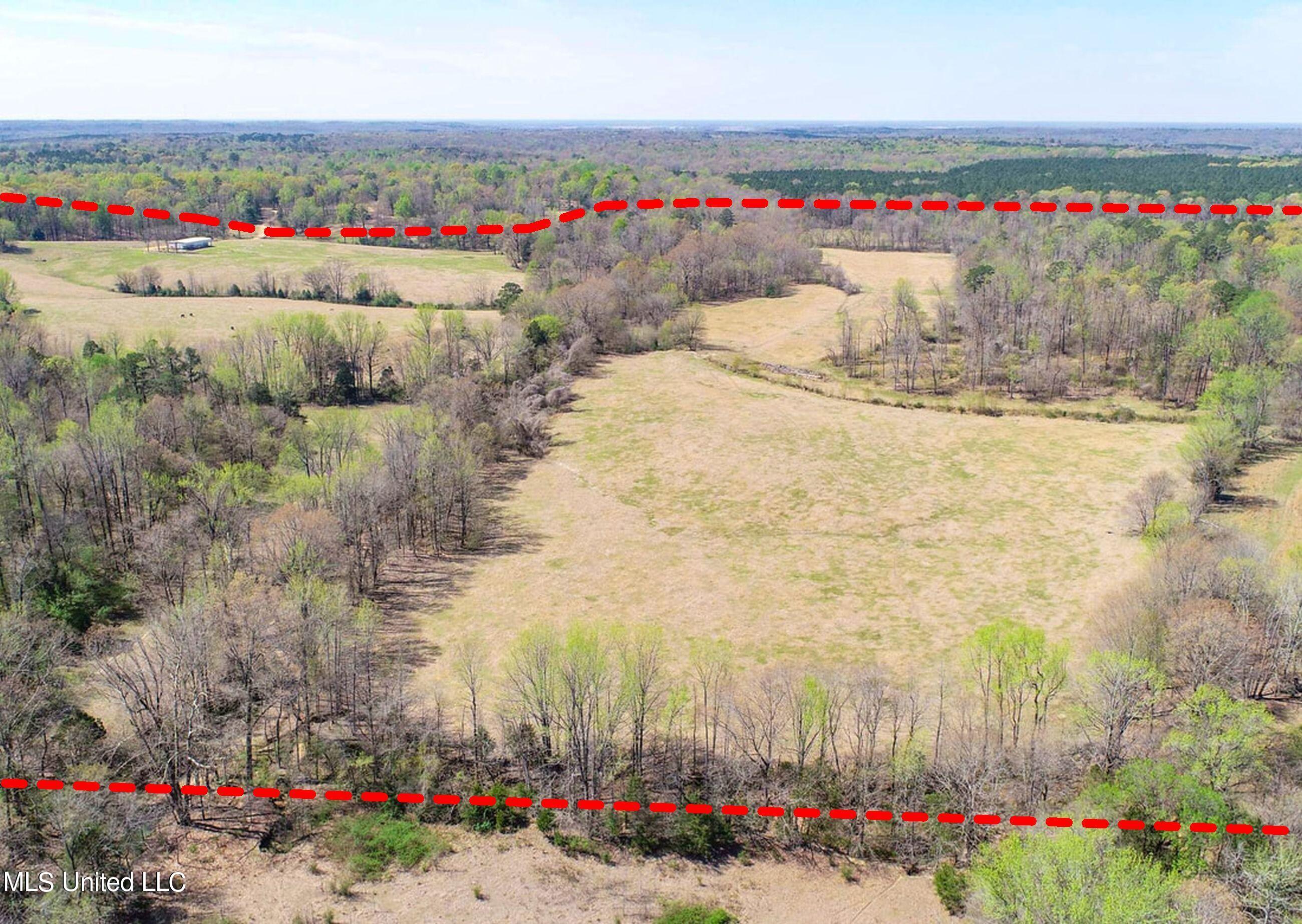 753 Oak Grove Road Charleston, MS 38921 - Photo 22 of 98 9awry25