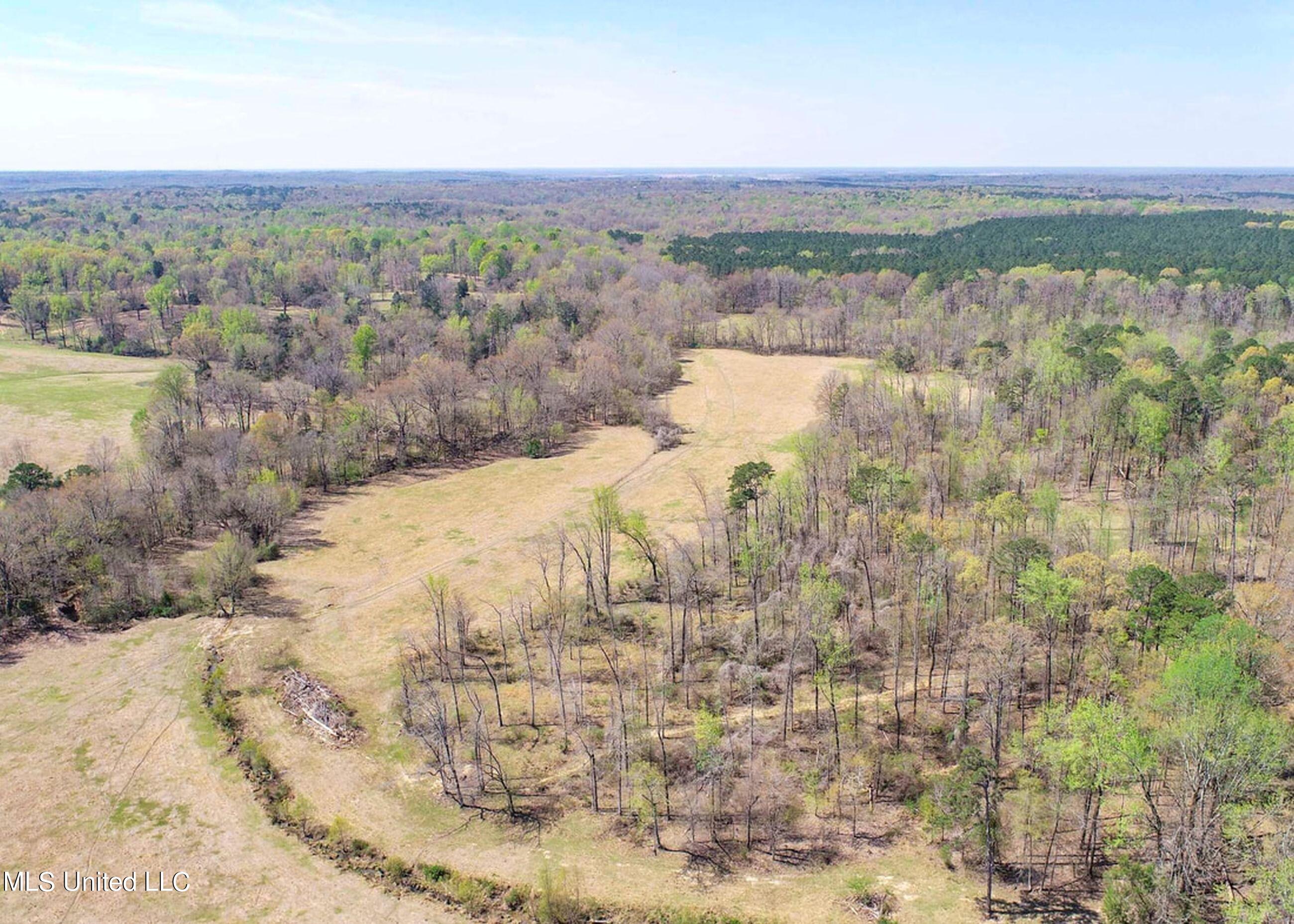 753 Oak Grove Road Charleston, MS 38921 - Photo 24 of 98 9awry27