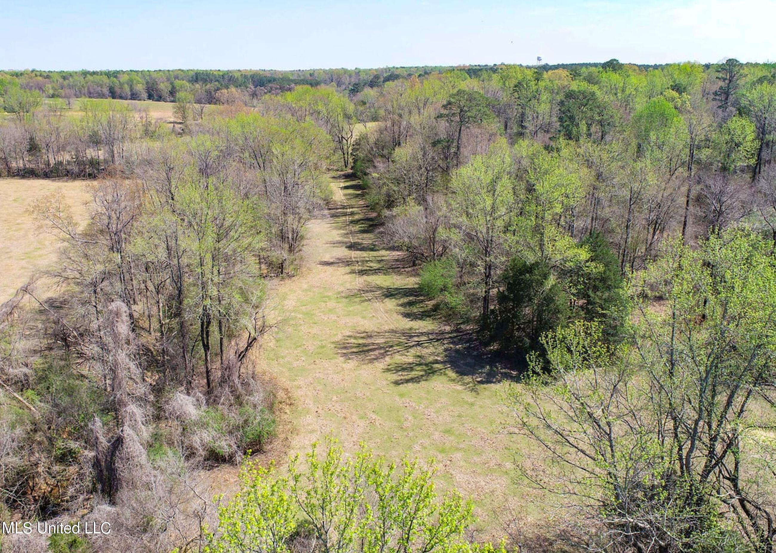 753 Oak Grove Road Charleston, MS 38921 - Photo 26 of 98 9awry29
