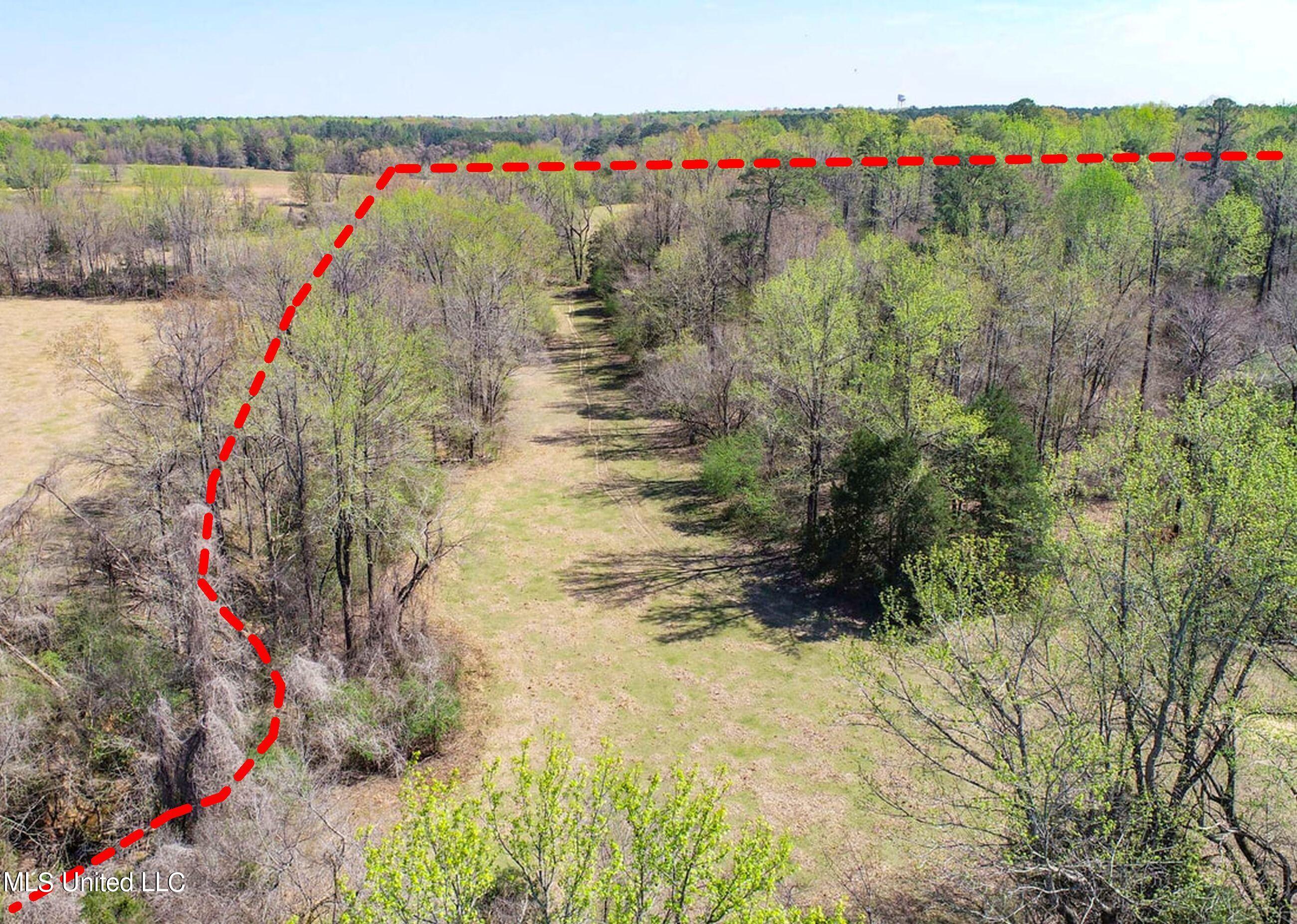 753 Oak Grove Road Charleston, MS 38921 - Photo 27 of 98 9awry29a