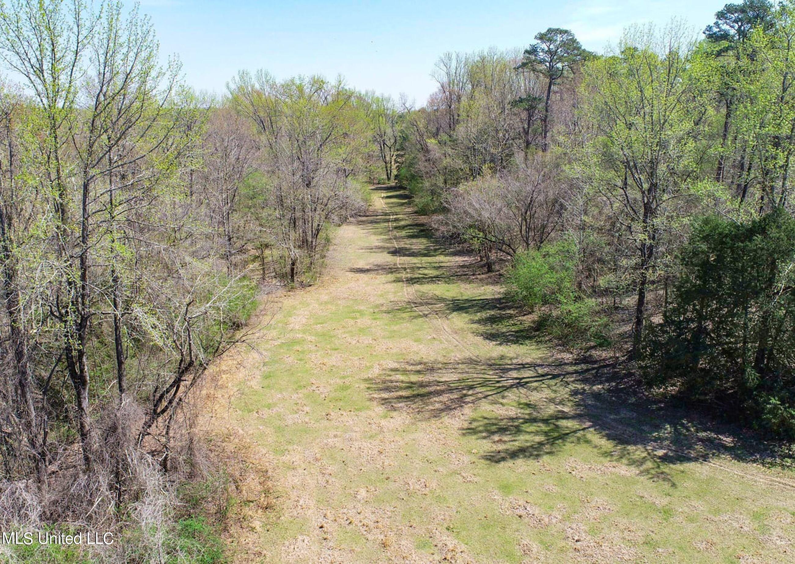 753 Oak Grove Road Charleston, MS 38921 - Photo 28 of 98 9awry30