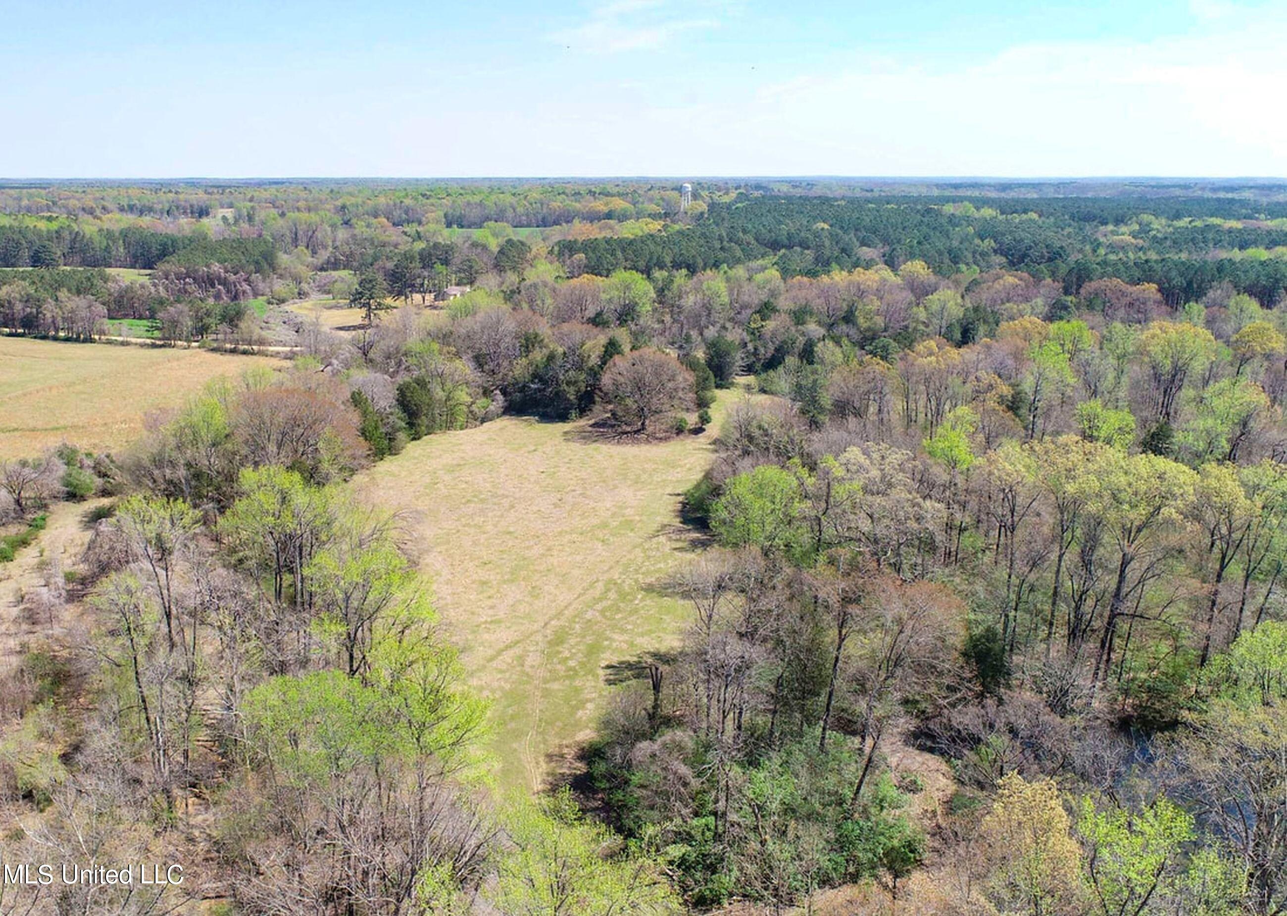 753 Oak Grove Road Charleston, MS 38921 - Photo 29 of 98 9awry31