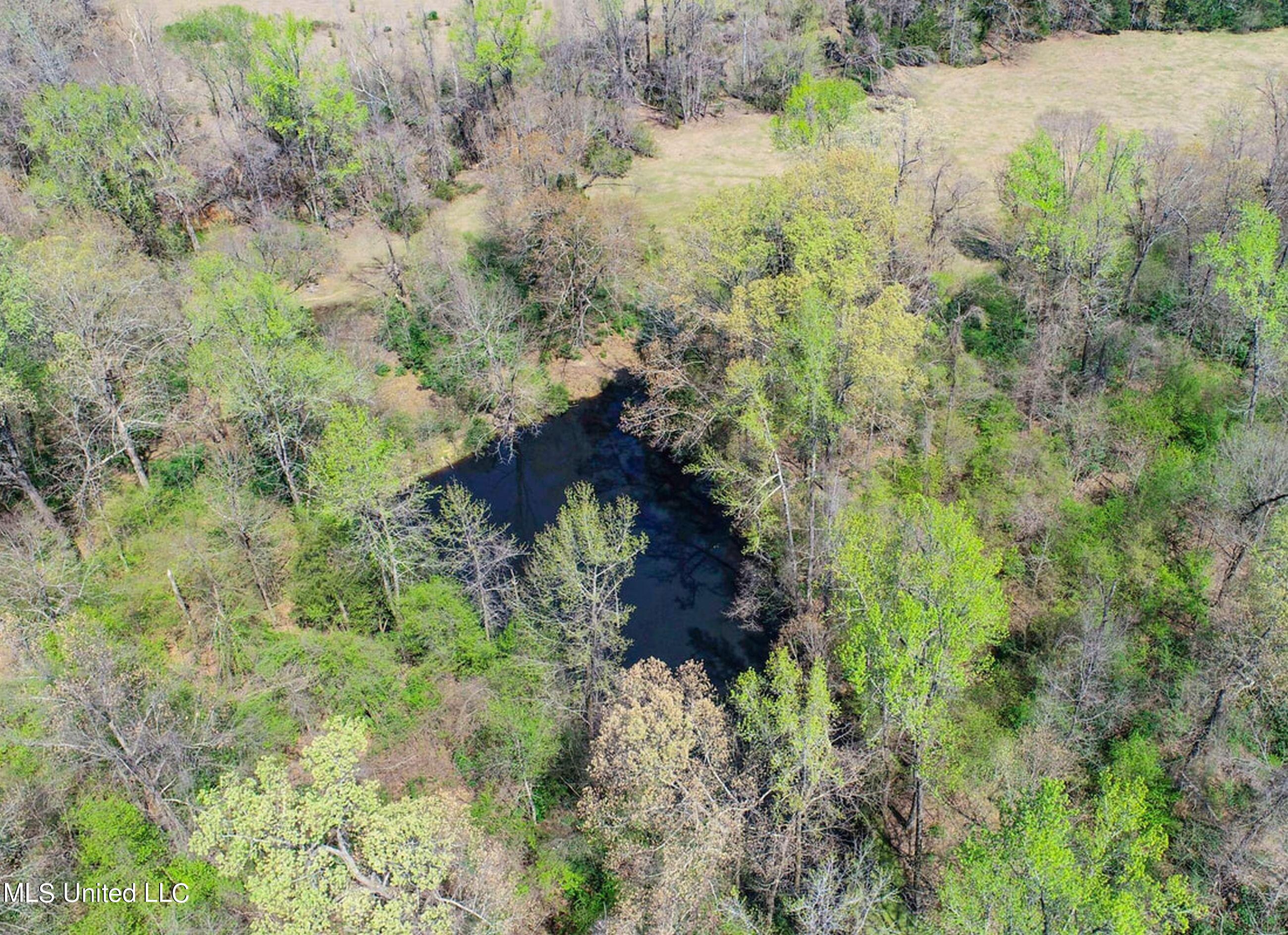 753 Oak Grove Road Charleston, MS 38921 - Photo 31 of 98 9awry33