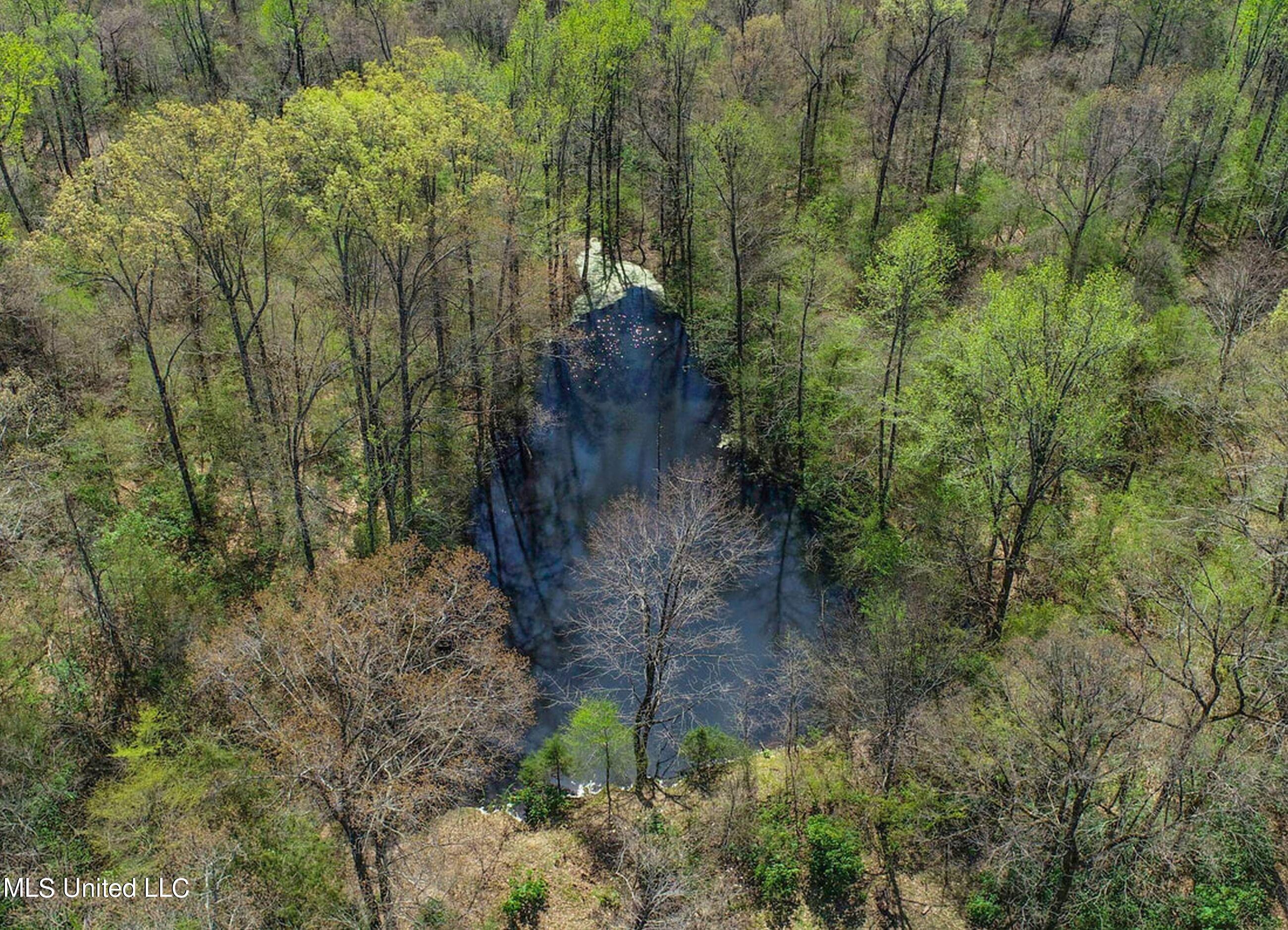 753 Oak Grove Road Charleston, MS 38921 - Photo 32 of 98 9awry34