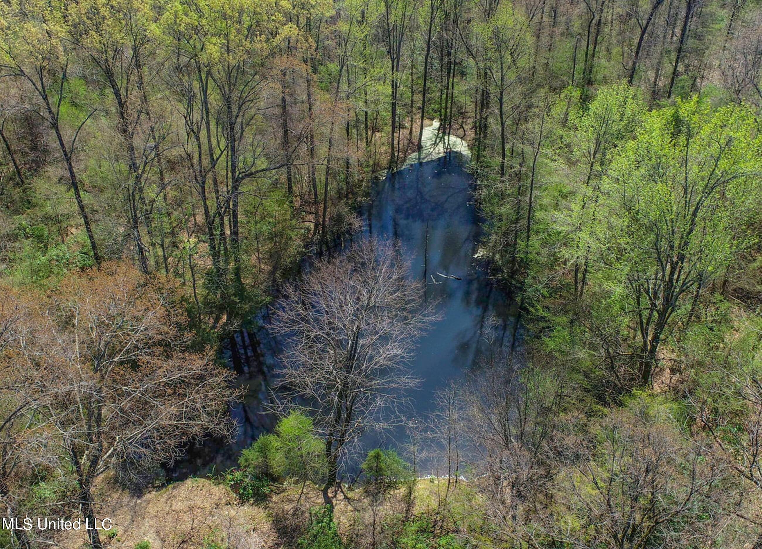 753 Oak Grove Road Charleston, MS 38921 - Photo 33 of 98 9awry35
