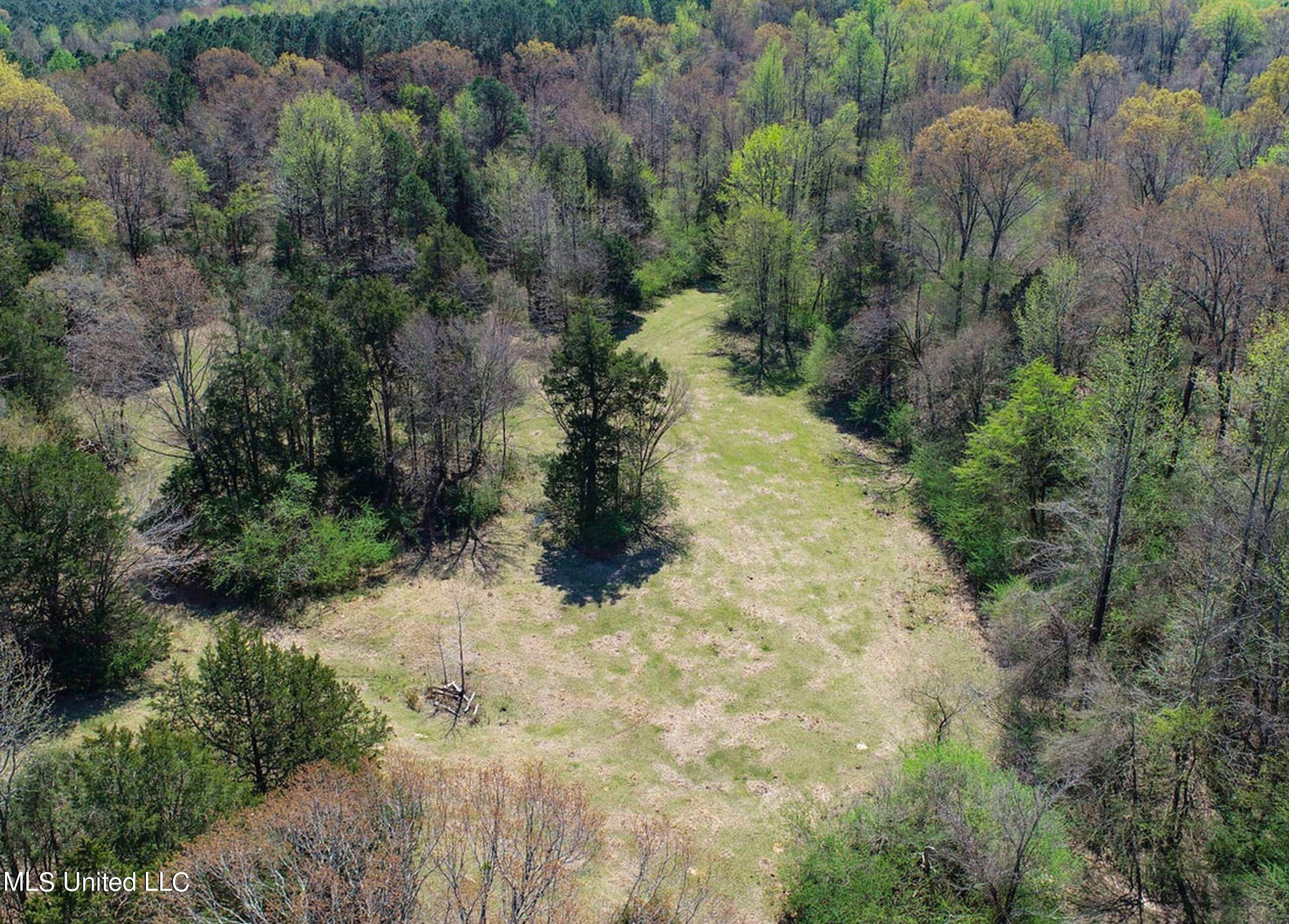753 Oak Grove Road Charleston, MS 38921 - Photo 35 of 98 9awry37