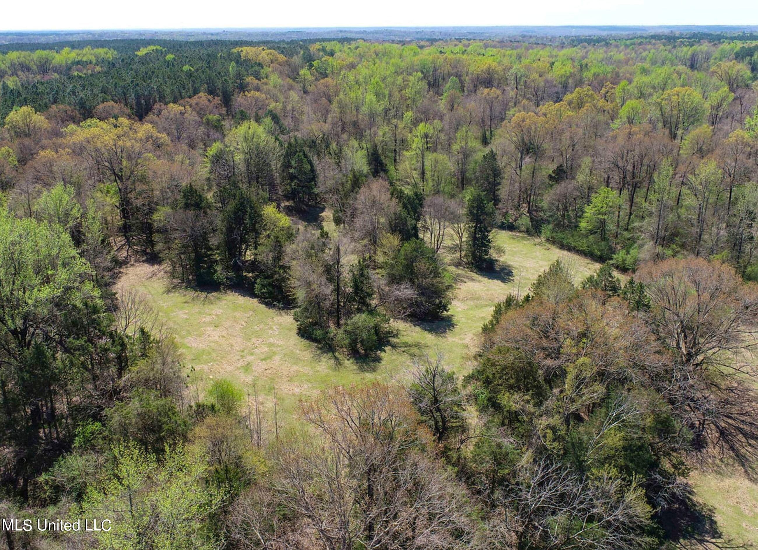 753 Oak Grove Road Charleston, MS 38921 - Photo 36 of 98 9awry38
