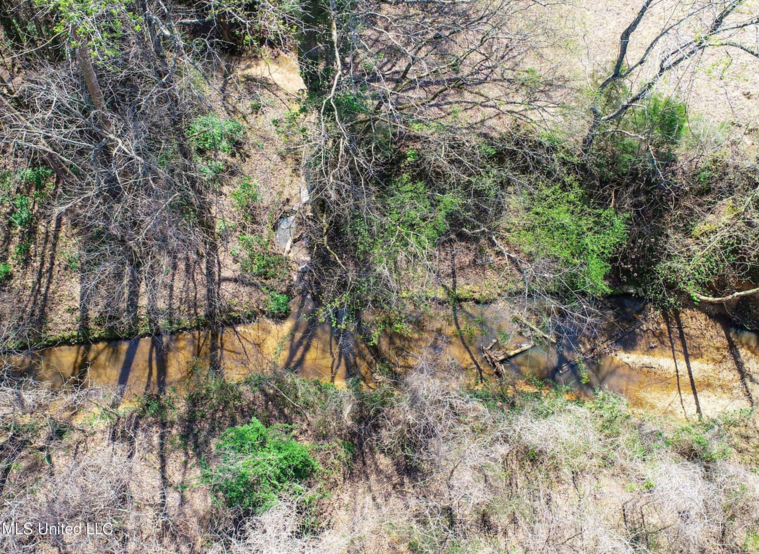 753 Oak Grove Road Charleston, MS 38921 - Photo 40 of 98 9awry42