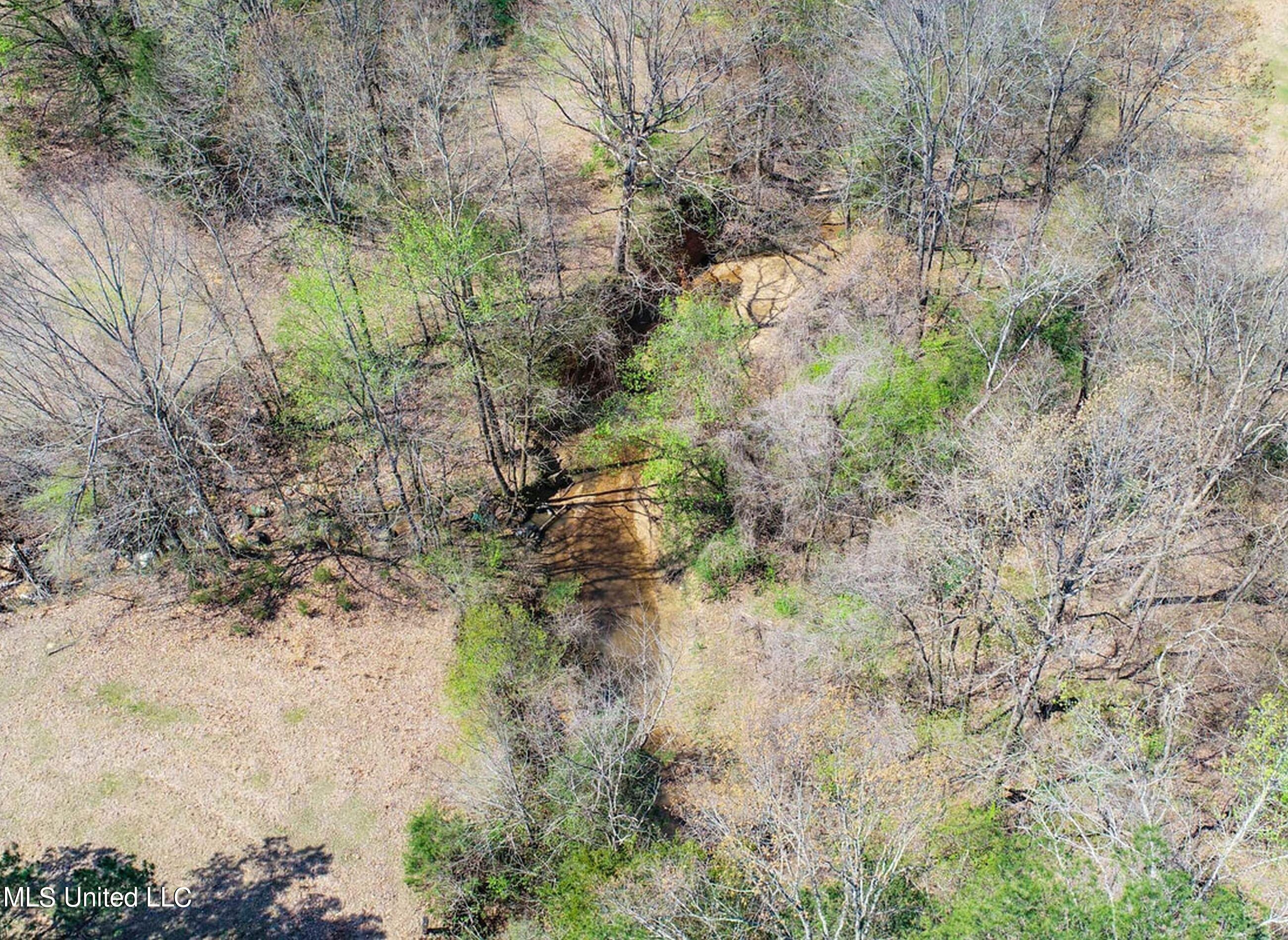 753 Oak Grove Road Charleston, MS 38921 - Photo 41 of 98 9awry44