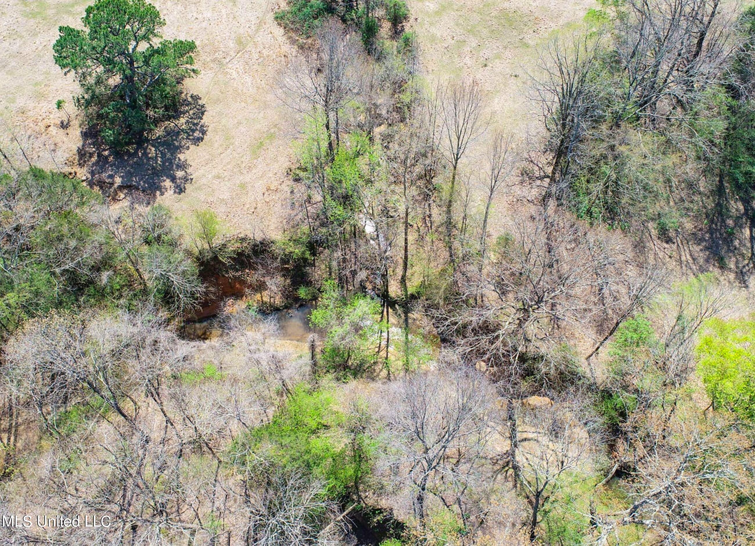 753 Oak Grove Road Charleston, MS 38921 - Photo 42 of 98 9awry46