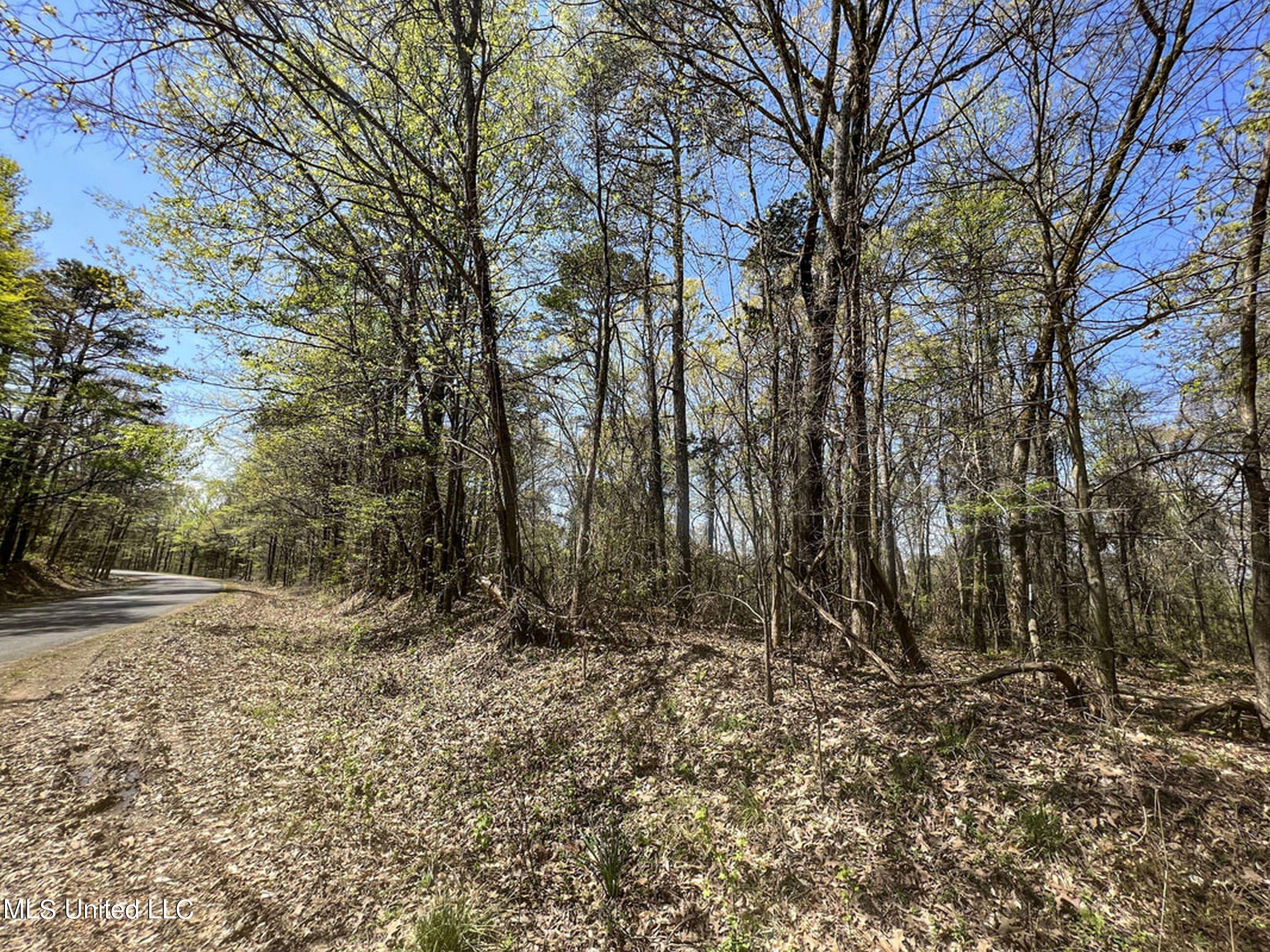 753 Oak Grove Road Charleston, MS 38921 - Photo 46 of 98 9awry53