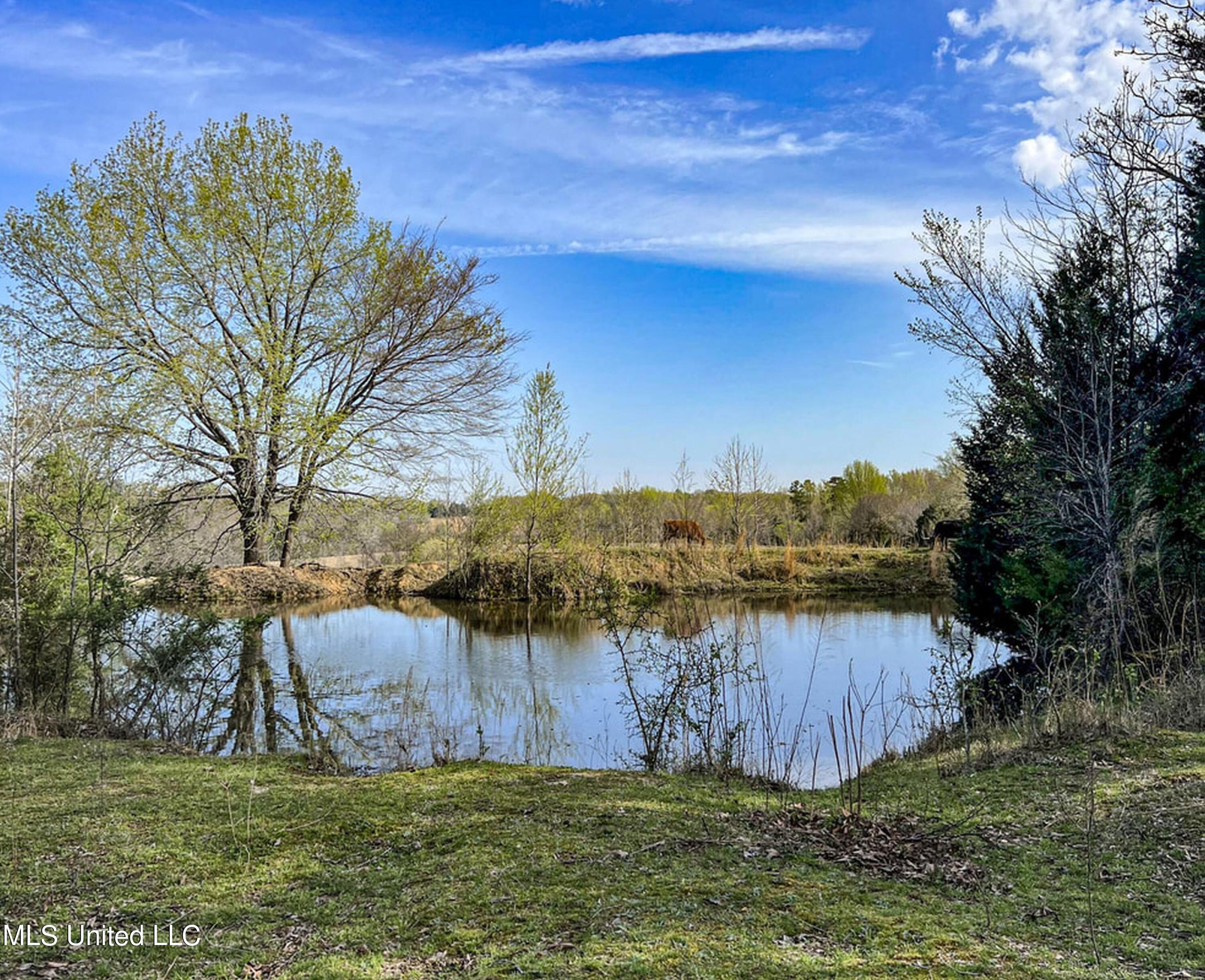 753 Oak Grove Road Charleston, MS 38921 - Photo 48 of 98 9awry55