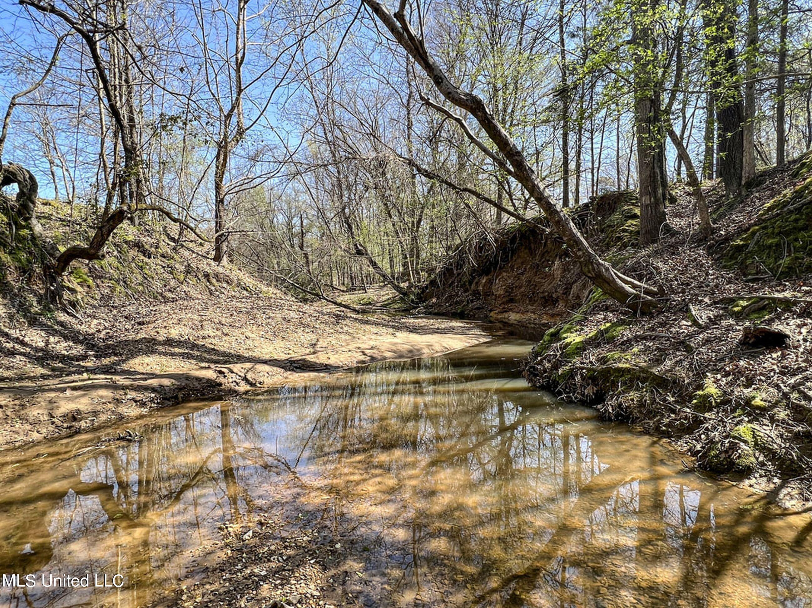753 Oak Grove Road Charleston, MS 38921 - Photo 49 of 98 9awry57