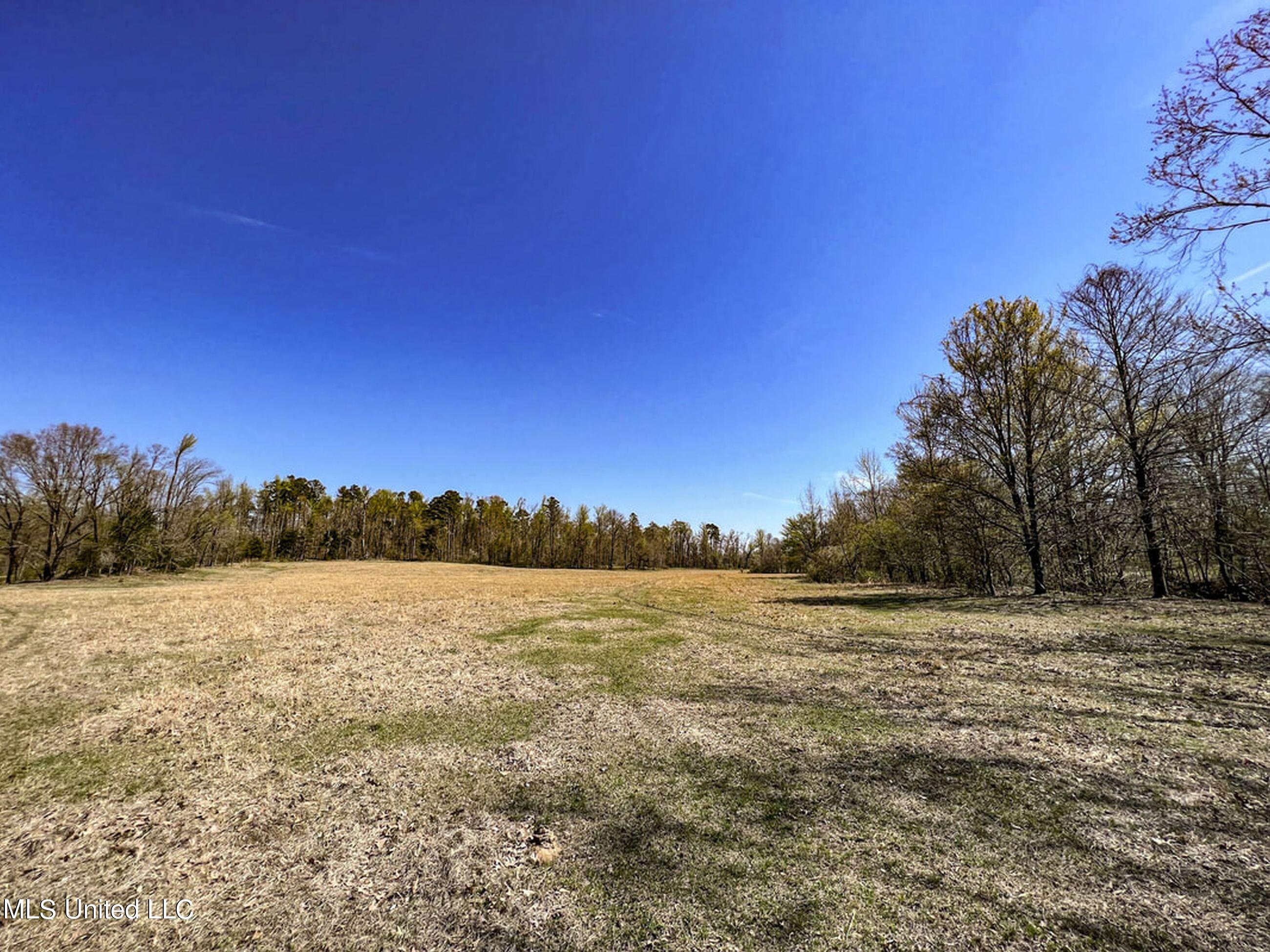 753 Oak Grove Road Charleston, MS 38921 - Photo 50 of 98 9awry58