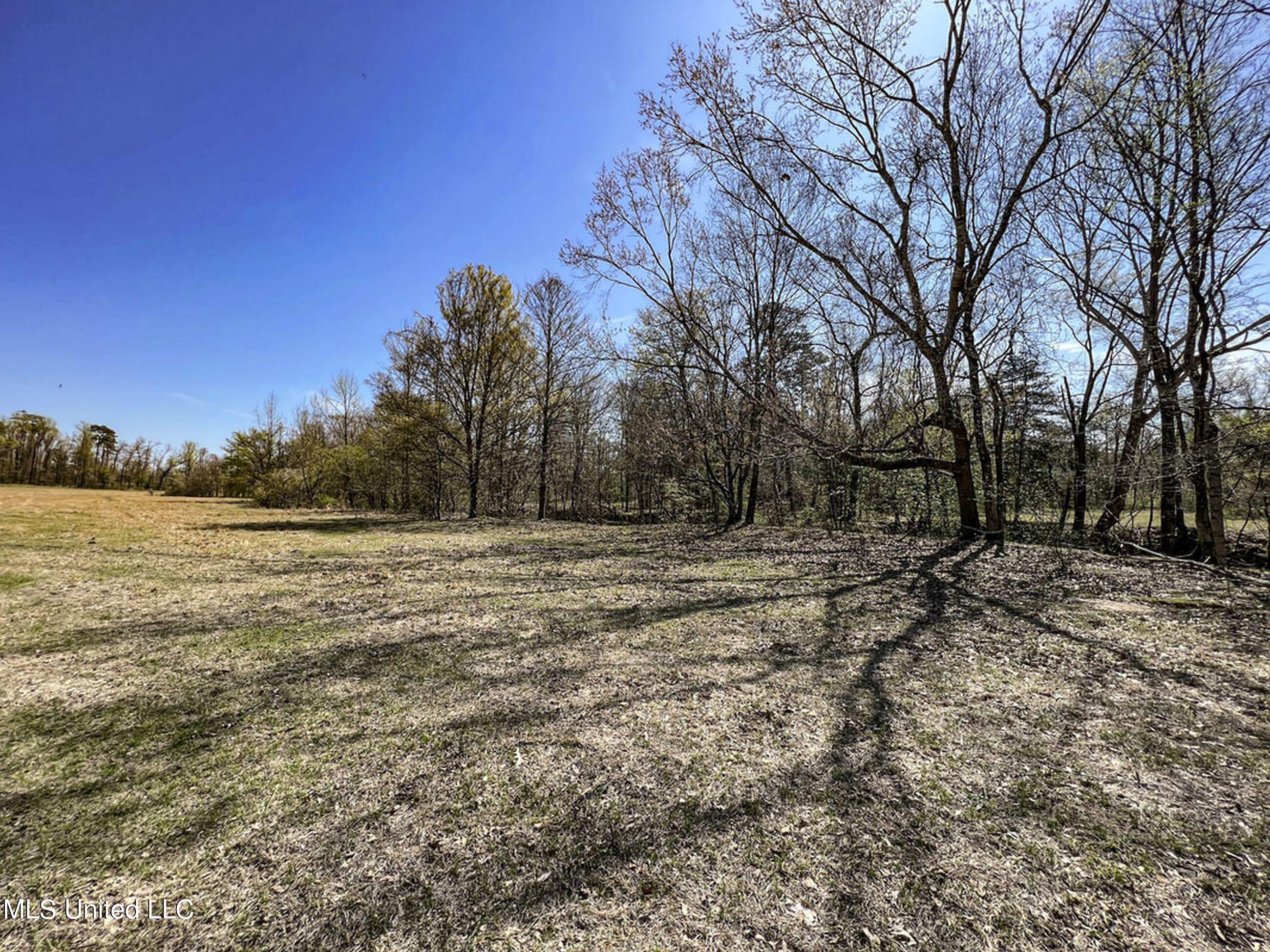 753 Oak Grove Road Charleston, MS 38921 - Photo 51 of 98 9awry60
