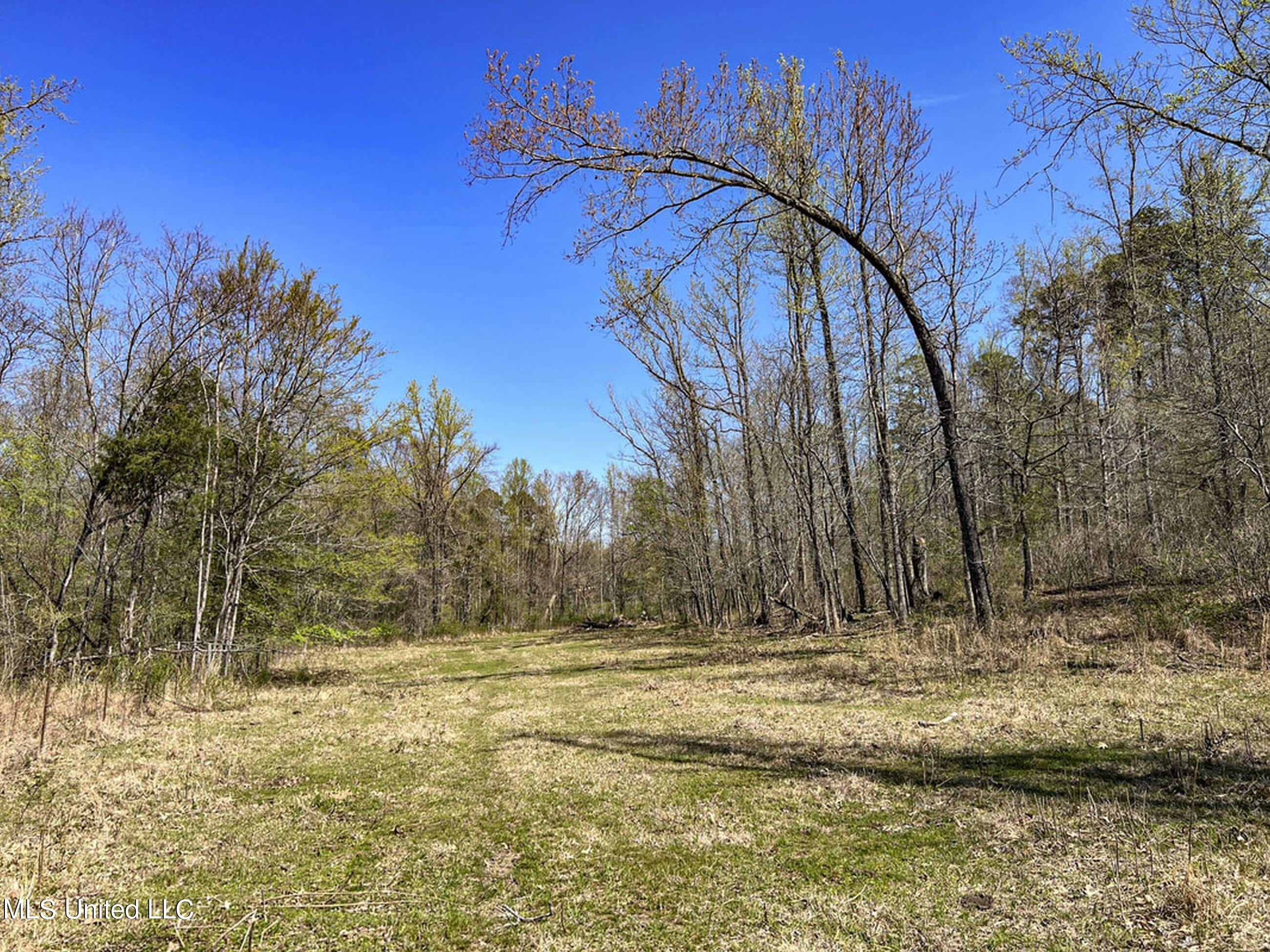 753 Oak Grove Road Charleston, MS 38921 - Photo 52 of 98 9awry61