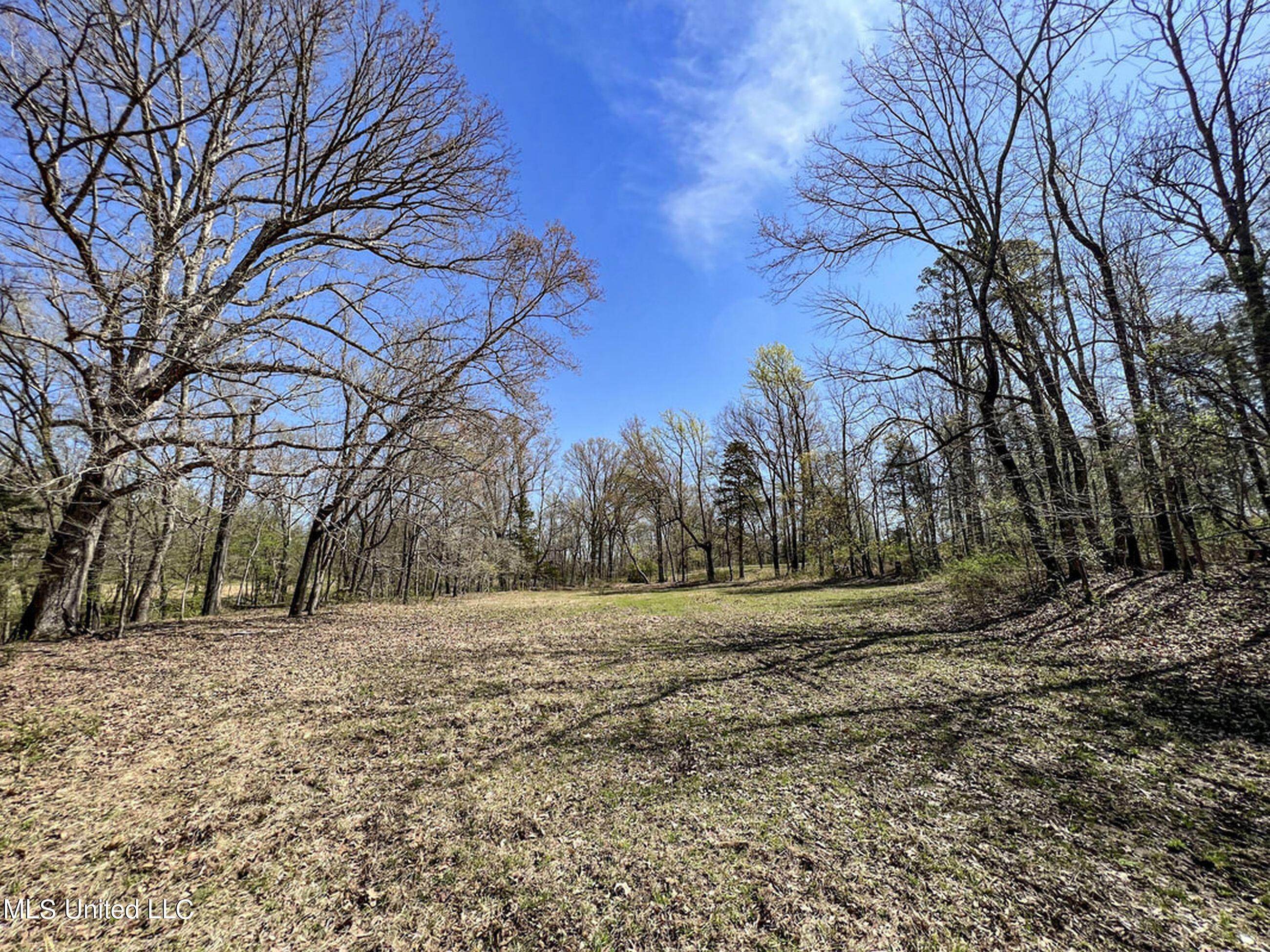 753 Oak Grove Road Charleston, MS 38921 - Photo 54 of 98 9awry64