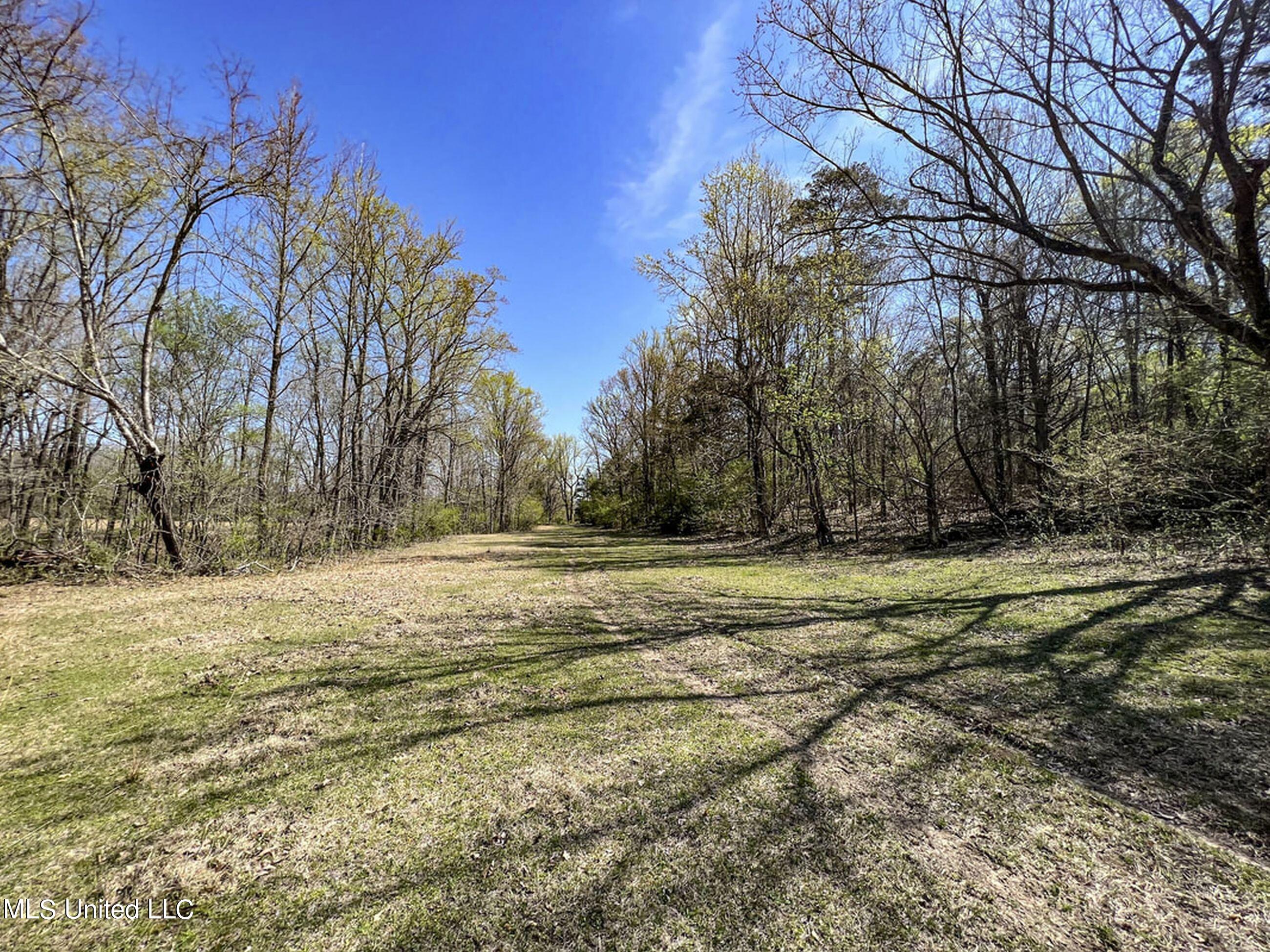 753 Oak Grove Road Charleston, MS 38921 - Photo 56 of 98 9awry68
