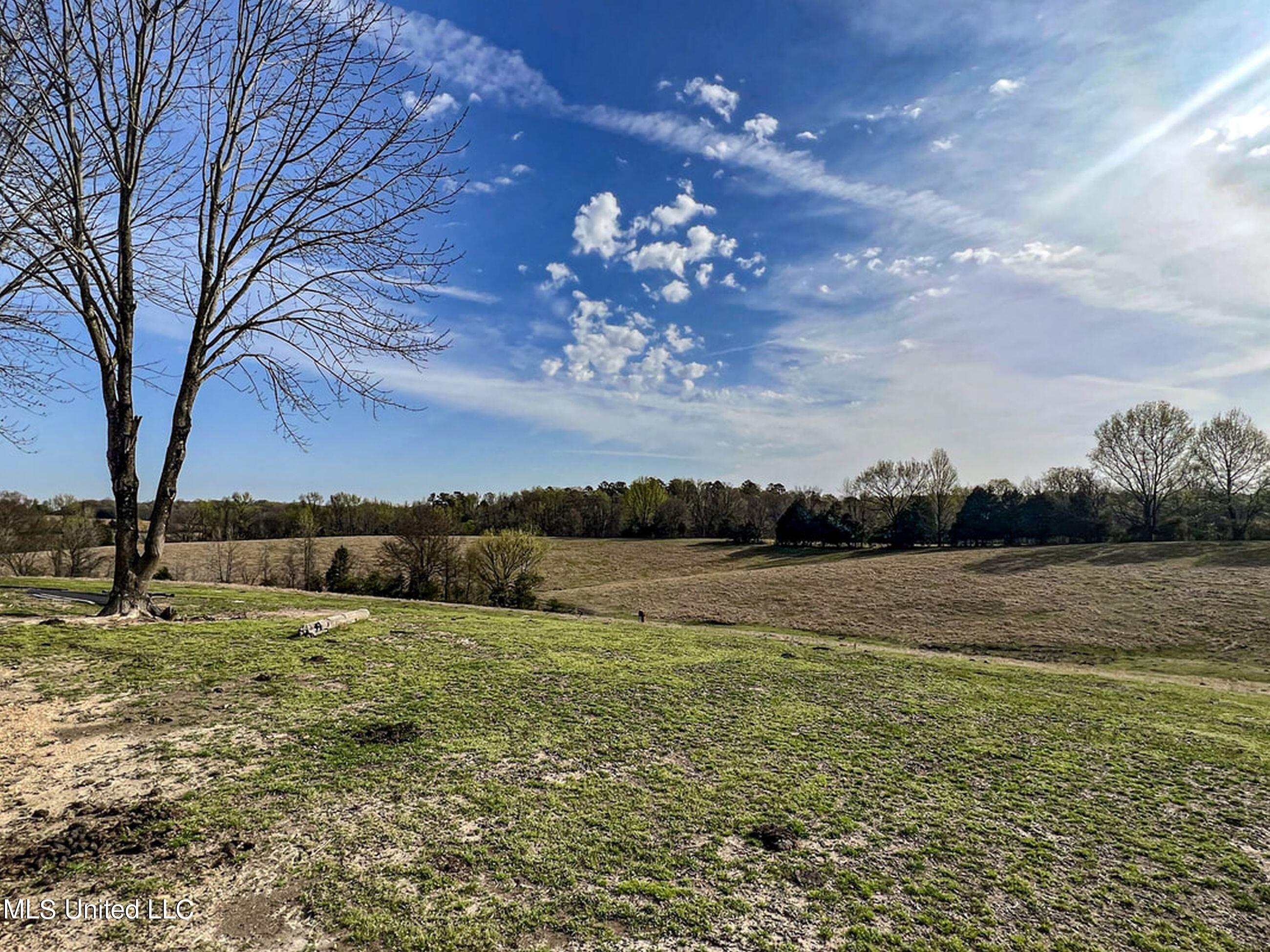 753 Oak Grove Road Charleston, MS 38921 - Photo 58 of 98 9awry70