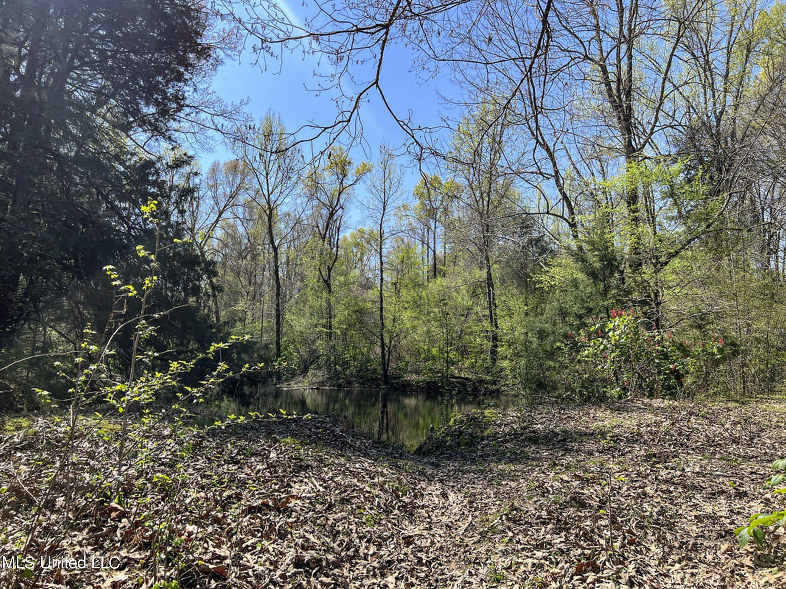 753 Oak Grove Road Charleston, MS 38921 - Photo 59 of 98 9awry72