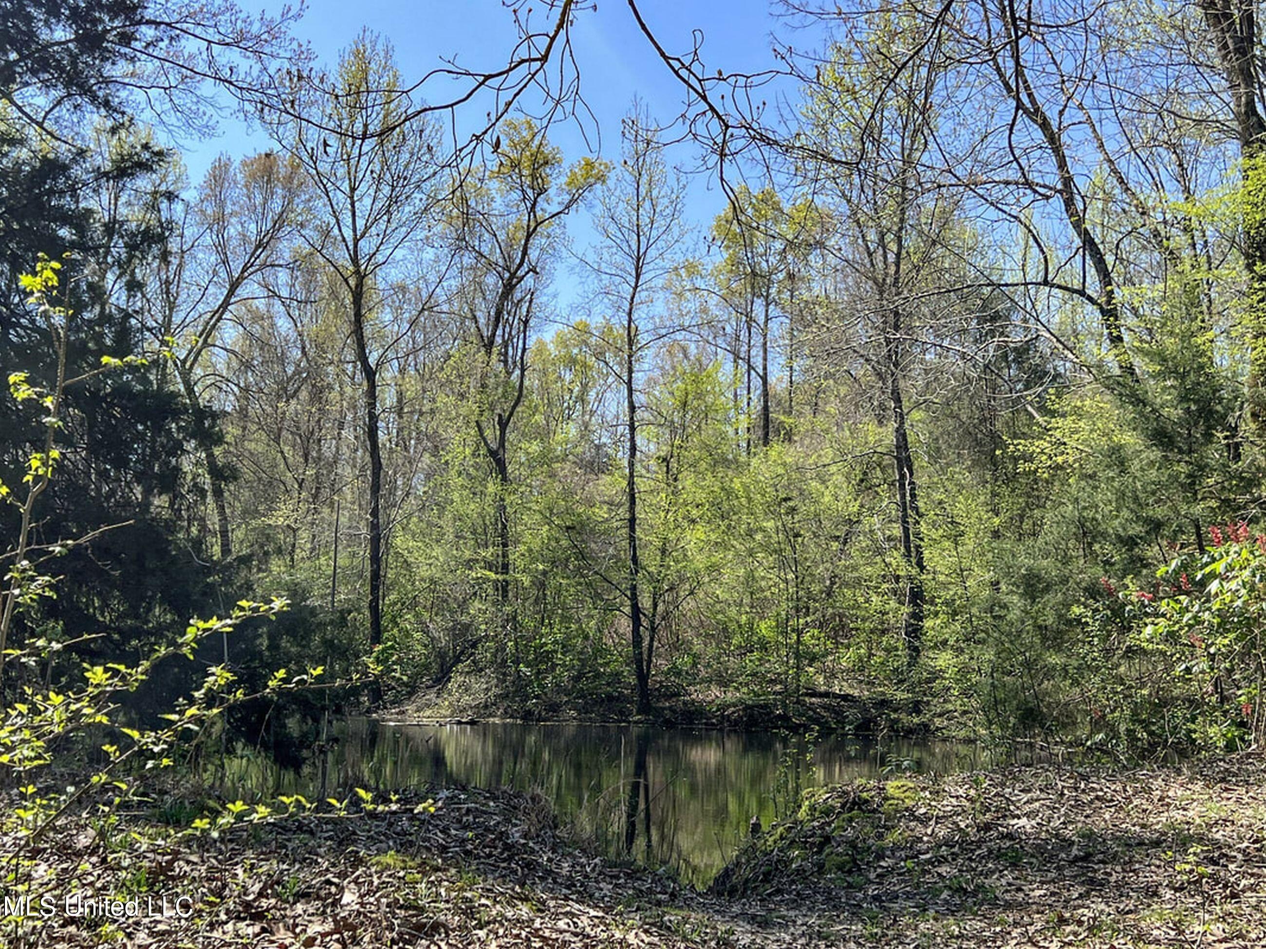 753 Oak Grove Road Charleston, MS 38921 - Photo 60 of 98 9awry73